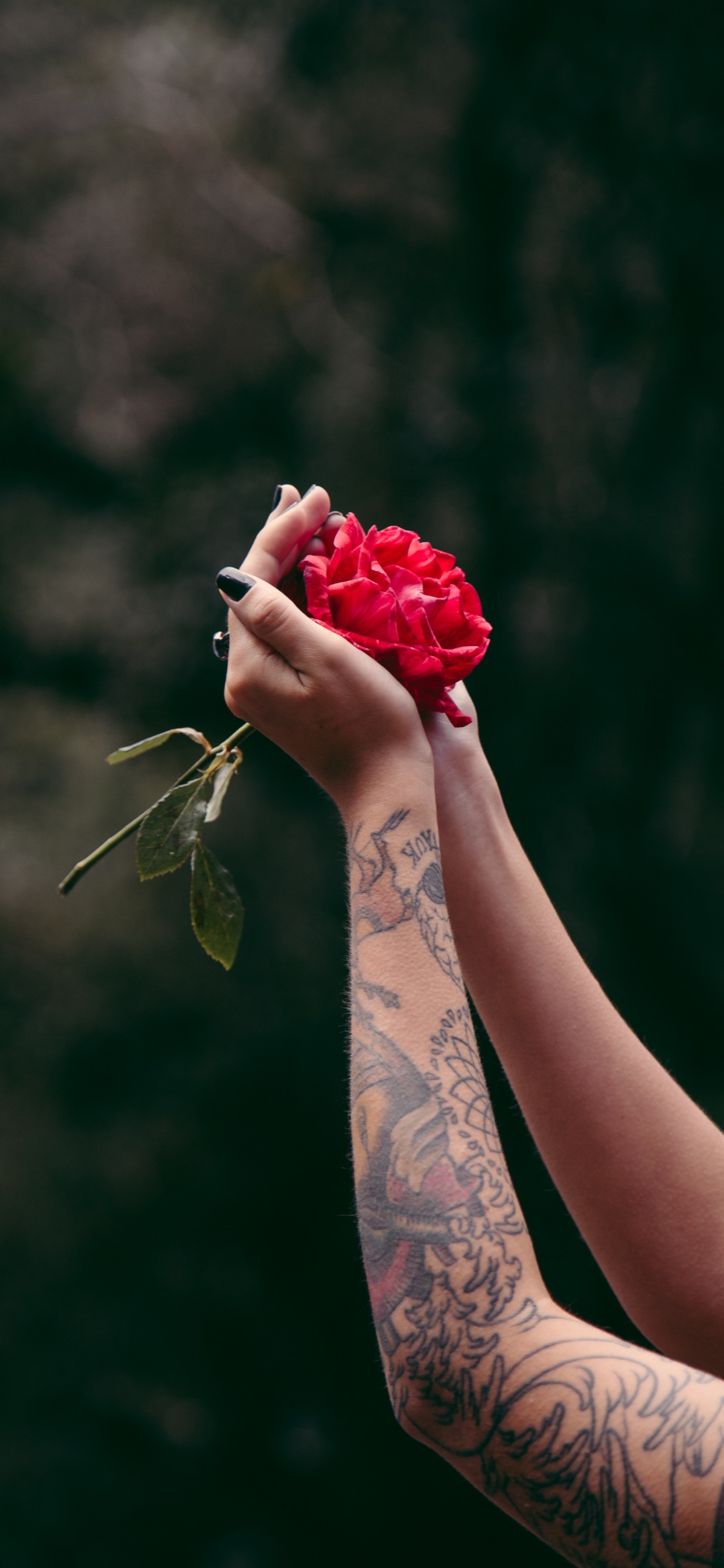 Обои тату, рукав татуировки, красный цвет, красота, рука в разрешении 1242x2688