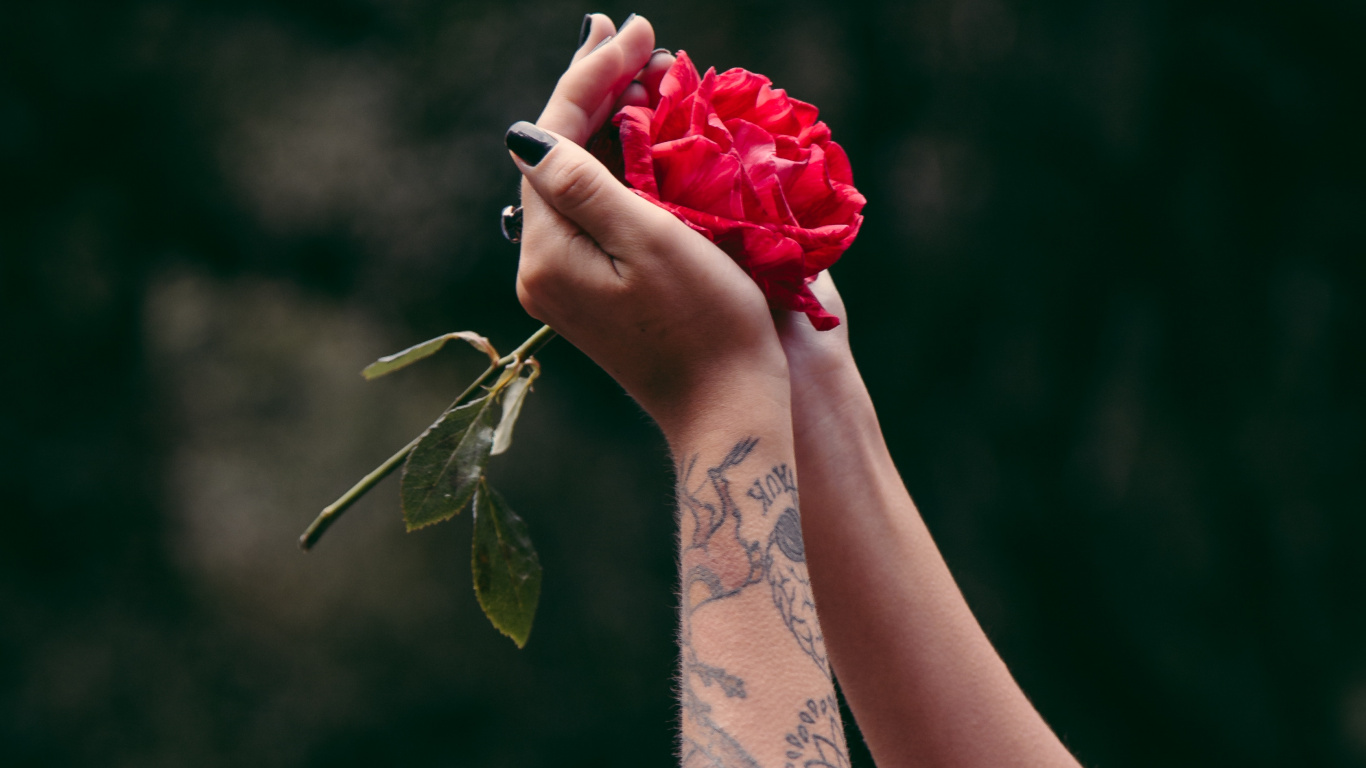 Обои тату, рукав татуировки, красный цвет, красота, рука в разрешении 1366x768