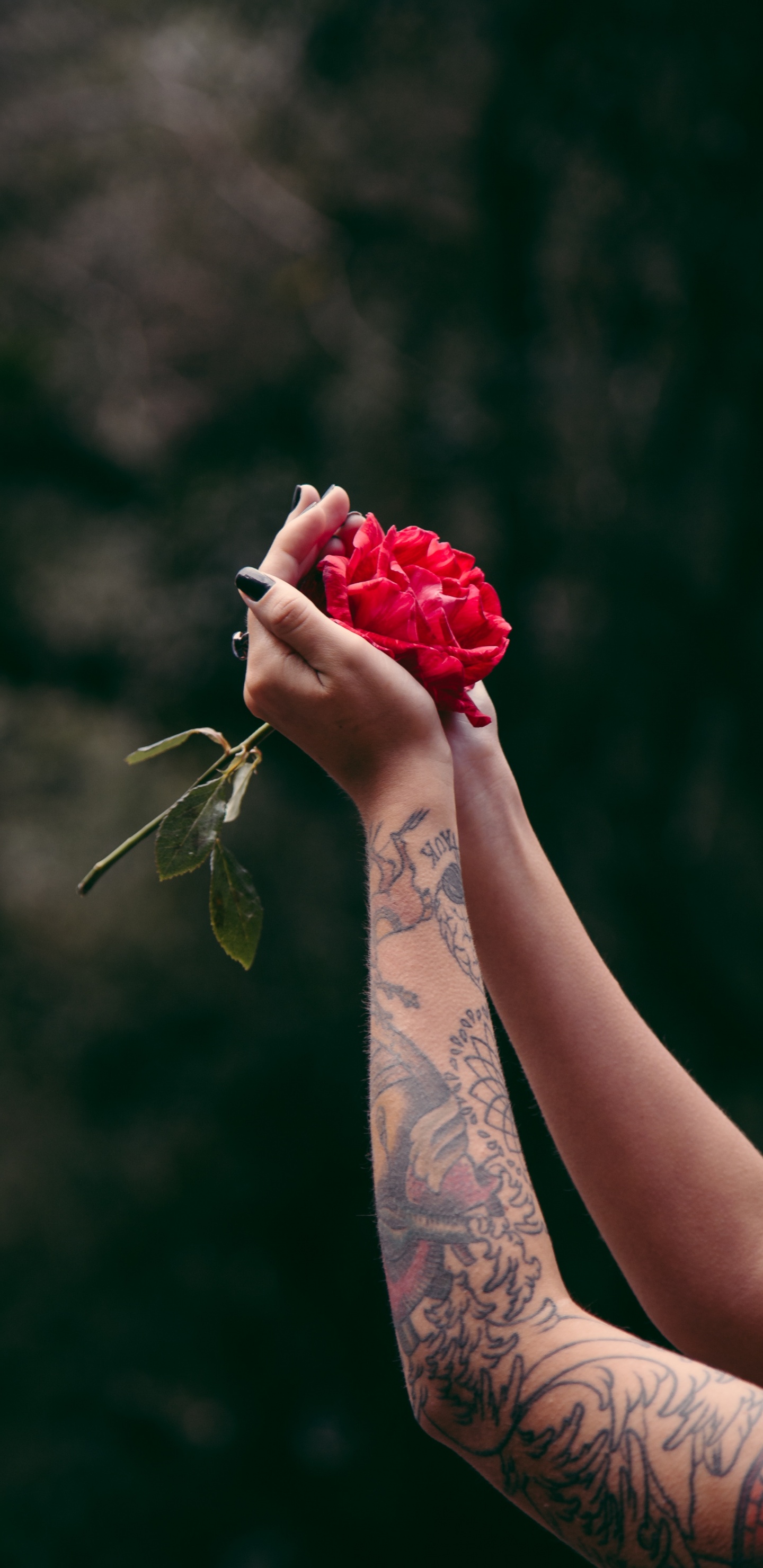 Обои тату, рукав татуировки, красный цвет, красота, рука в разрешении 1440x2960