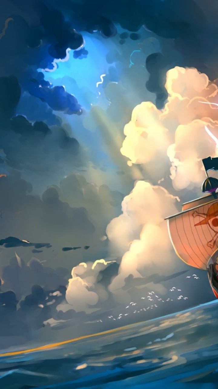 Обои тысяча солнечных, один кусок, собирается женится, атмосфера, природа в разрешении 720x1280