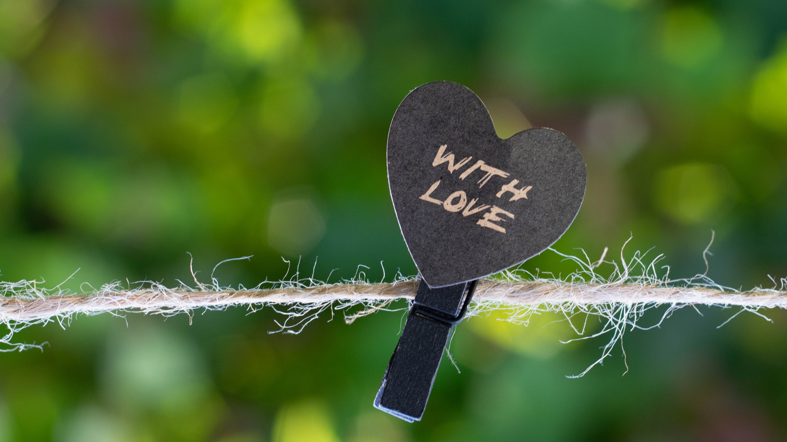 Обои любовное письмо, сердце, зеленый, лист, любовь в разрешении 2560x1440