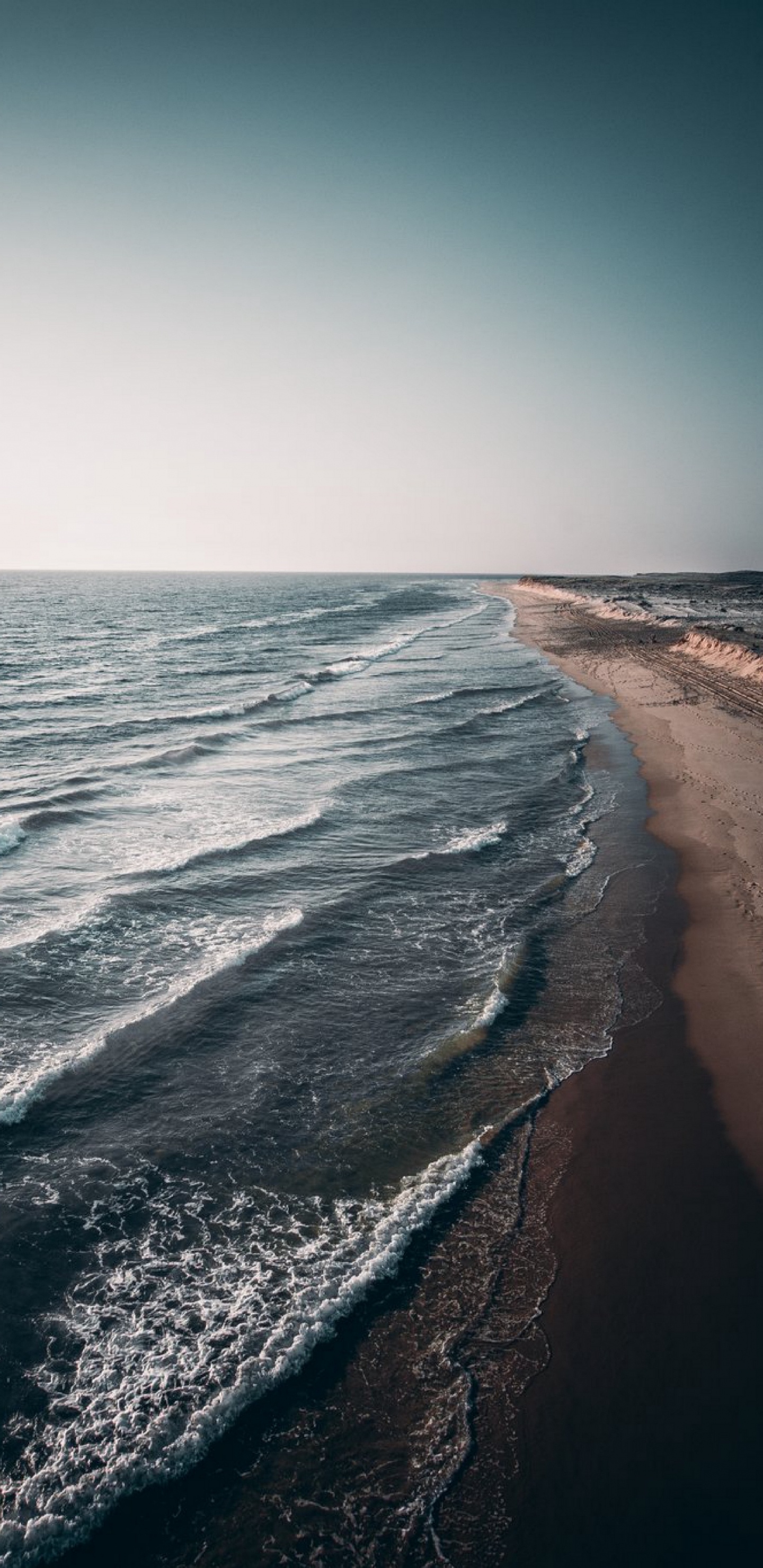 Обои ветровая волна, берег, небо, море, водоем в разрешении 1440x2960