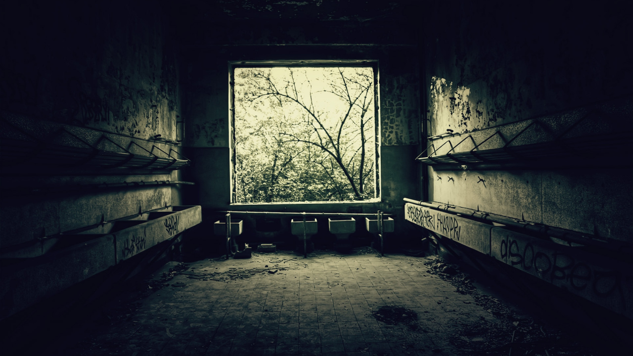 Обои свет, дерево, вода, песня, руины в разрешении 1280x720