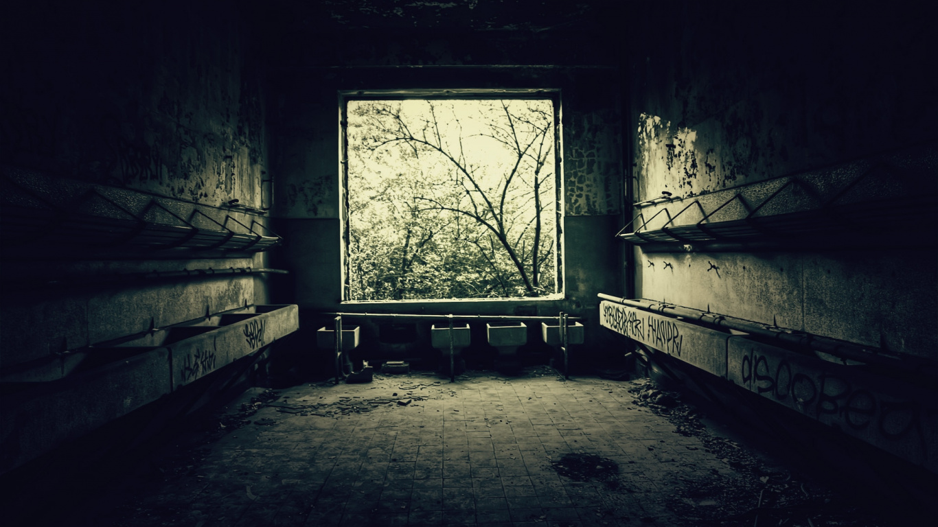 Обои свет, дерево, вода, песня, руины в разрешении 1366x768