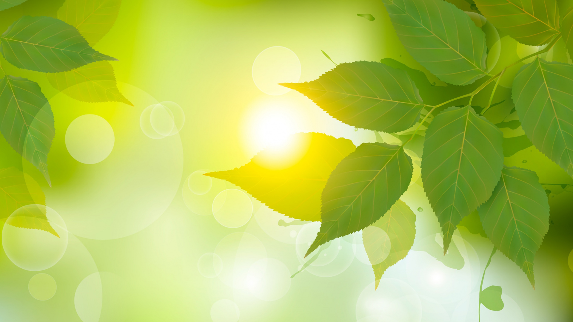 Обои векторная графика, иллюстрация, зеленый, лист, солнечный свет в разрешении 1920x1080