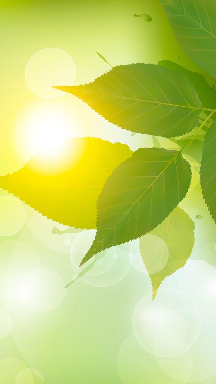 Обои векторная графика, иллюстрация, зеленый, лист, солнечный свет в разрешении 720x1280