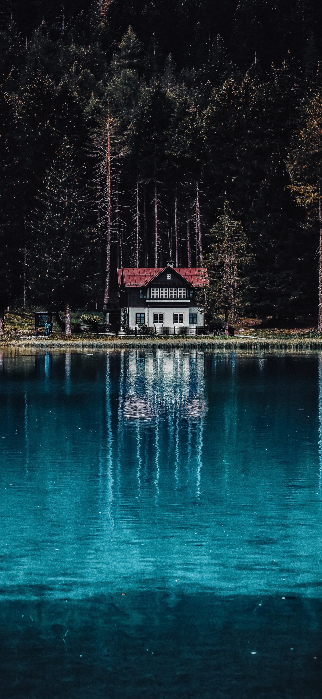 Обои отражение, вода, гора Фудзи, вулкан, гора в разрешении 1125x2436