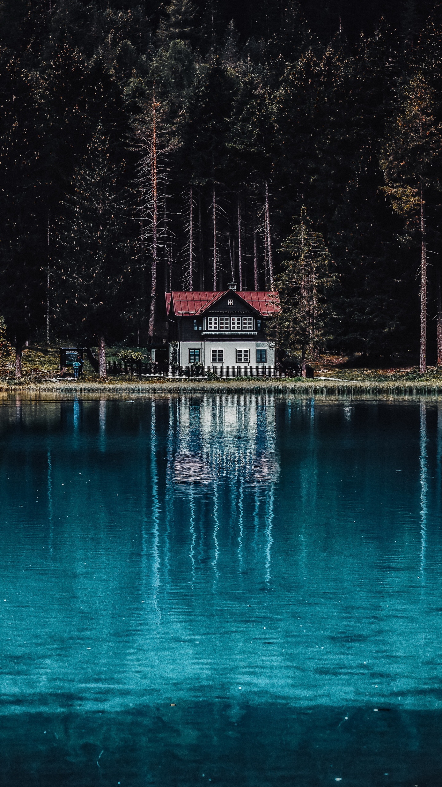 Обои отражение, вода, гора Фудзи, вулкан, гора в разрешении 1440x2560