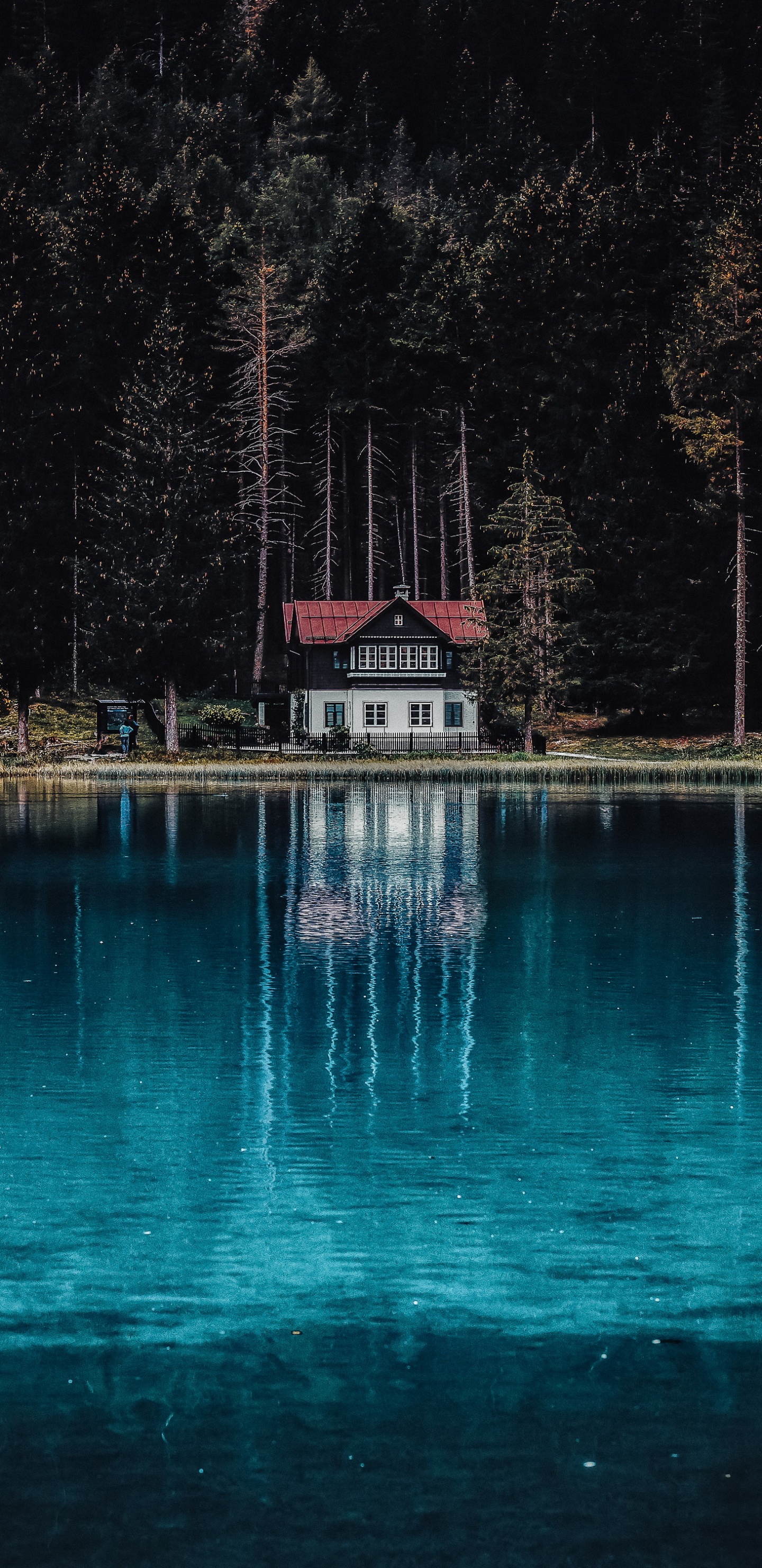 Обои отражение, вода, гора Фудзи, вулкан, гора в разрешении 1440x2960