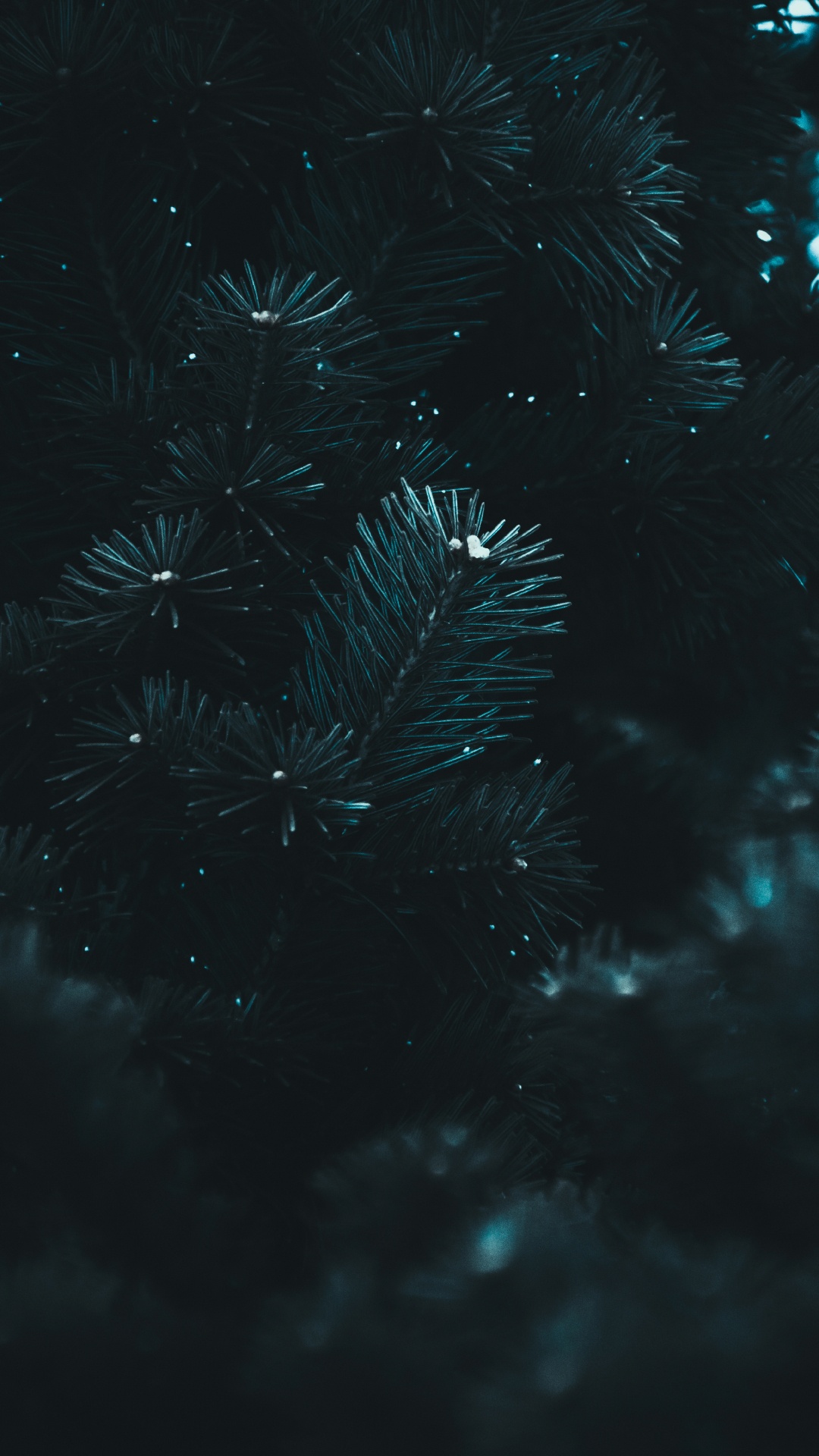 Обои черный, вода, синий, темнота, ночь в разрешении 1080x1920