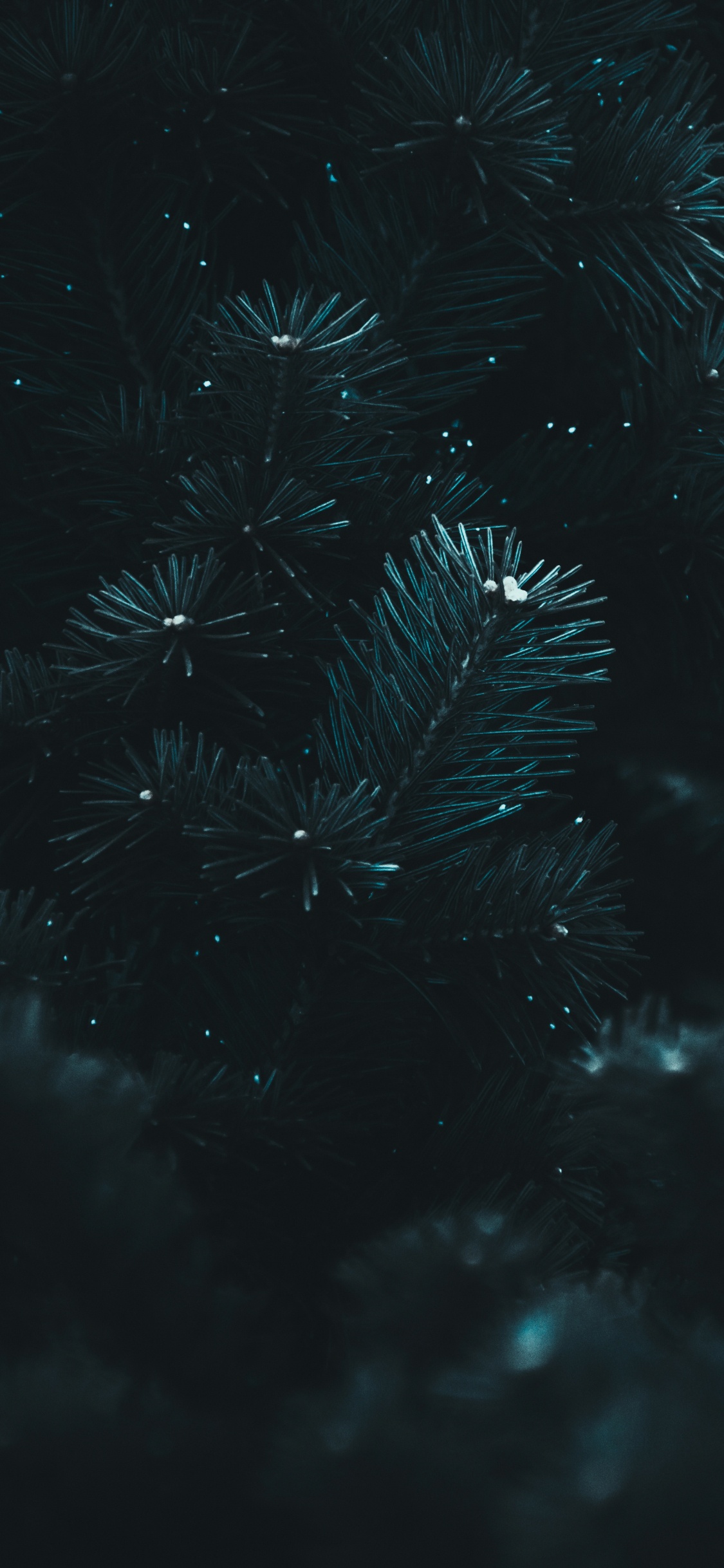 Обои черный, вода, синий, темнота, ночь в разрешении 1125x2436