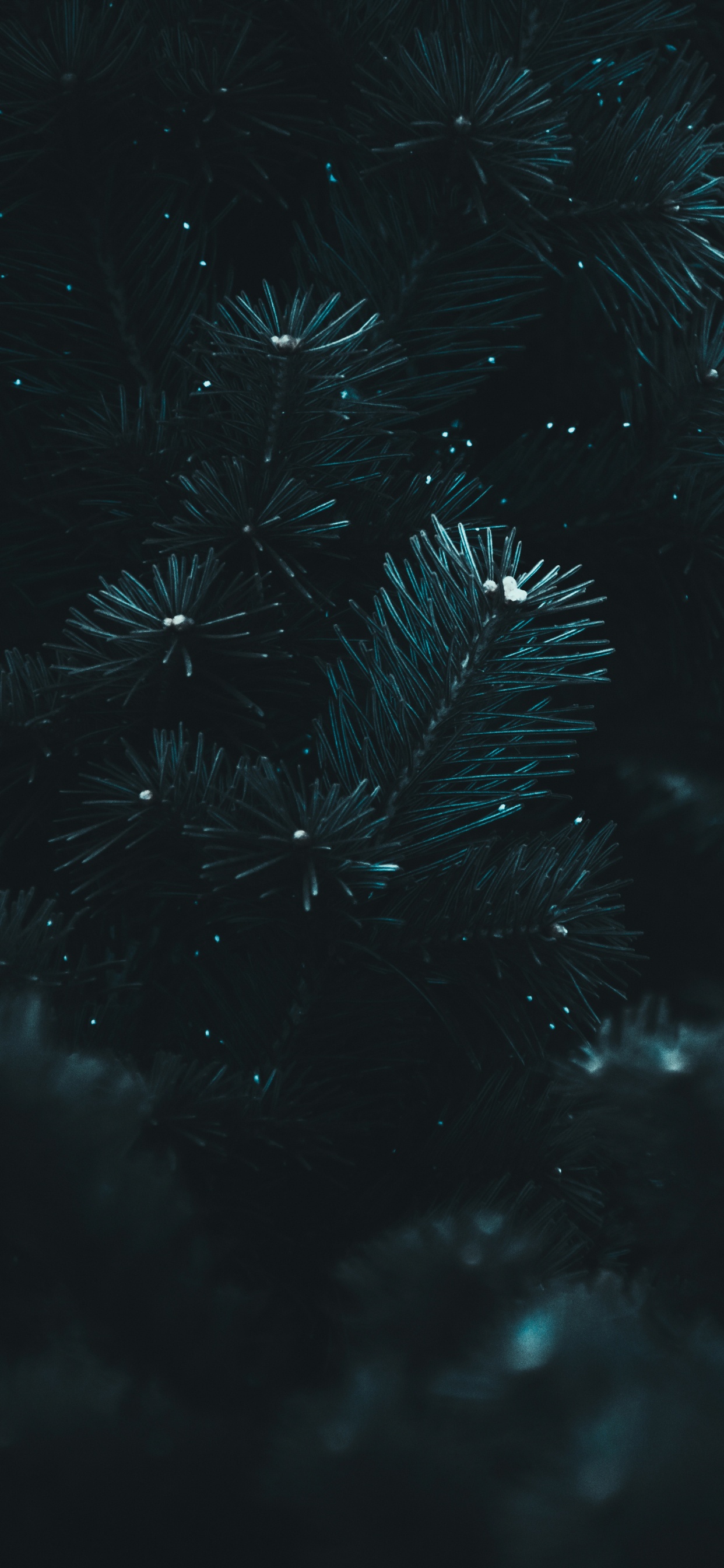 Обои черный, вода, синий, темнота, ночь в разрешении 1242x2688