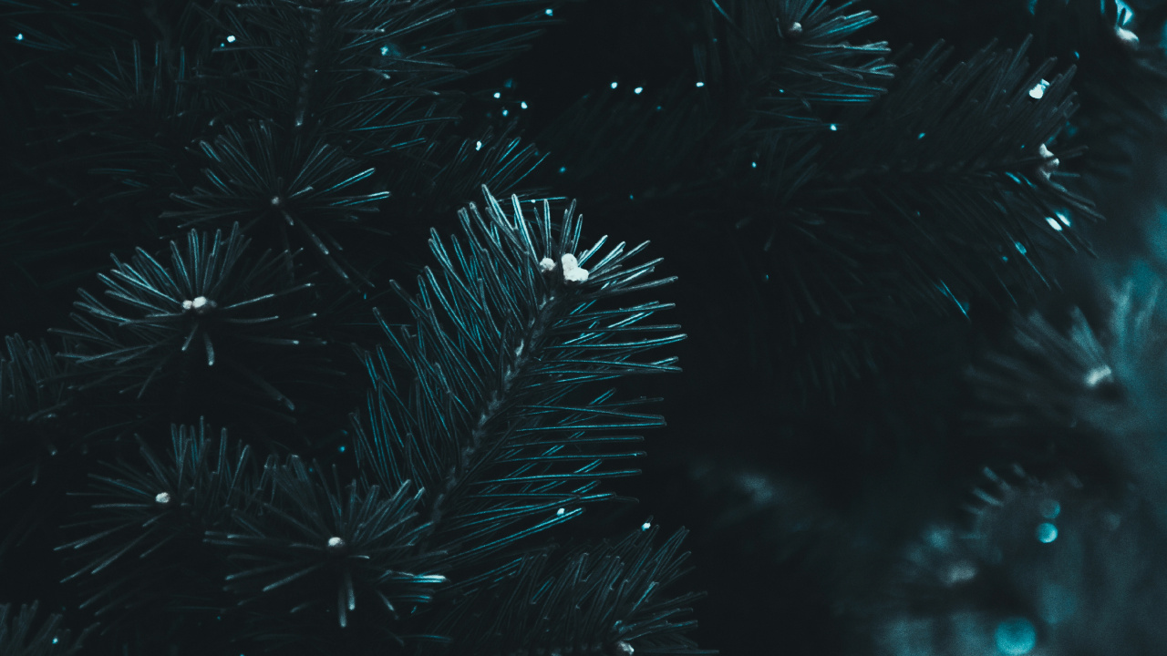 Обои черный, вода, синий, темнота, ночь в разрешении 1280x720