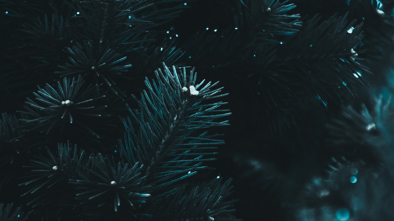 Обои черный, вода, синий, темнота, ночь в разрешении 1366x768