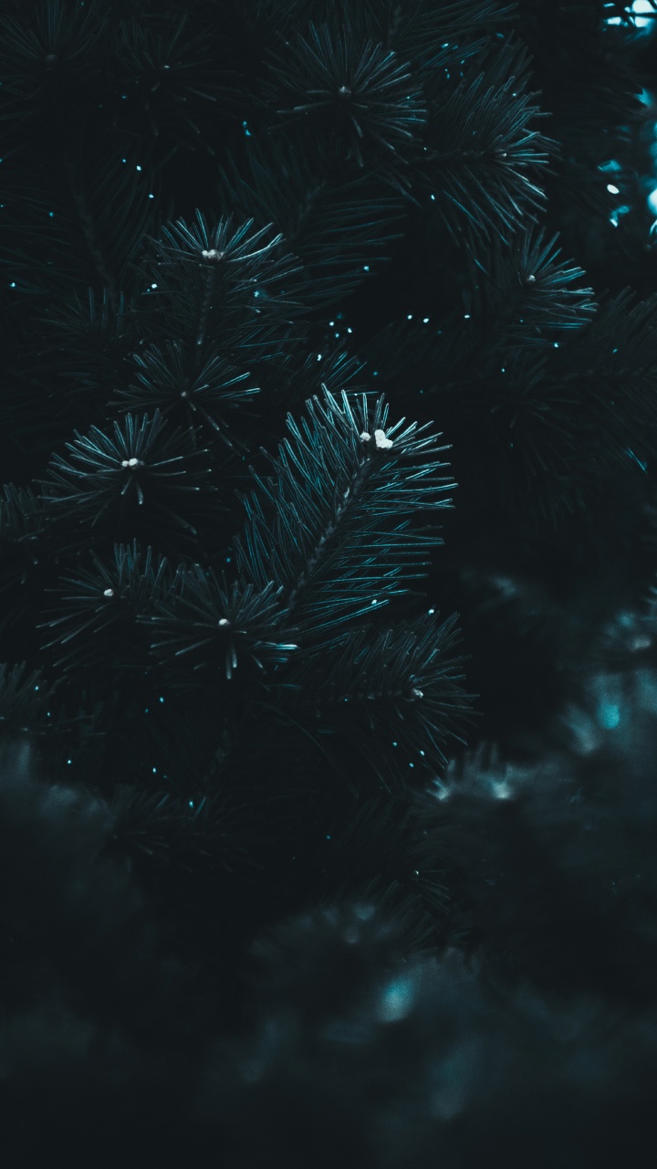 Обои черный, вода, синий, темнота, ночь в разрешении 720x1280