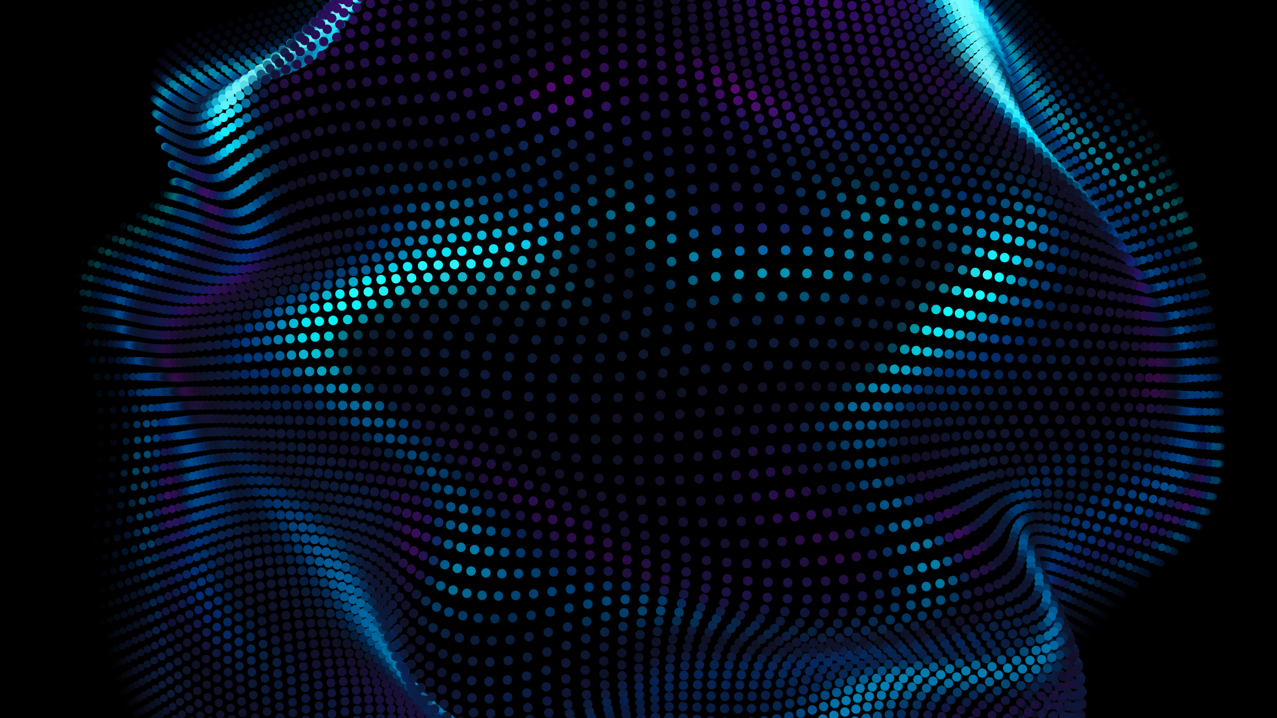 Обои свет, пурпур, автомобильное освещение, Фиолетовый, вода в разрешении 2560x1440