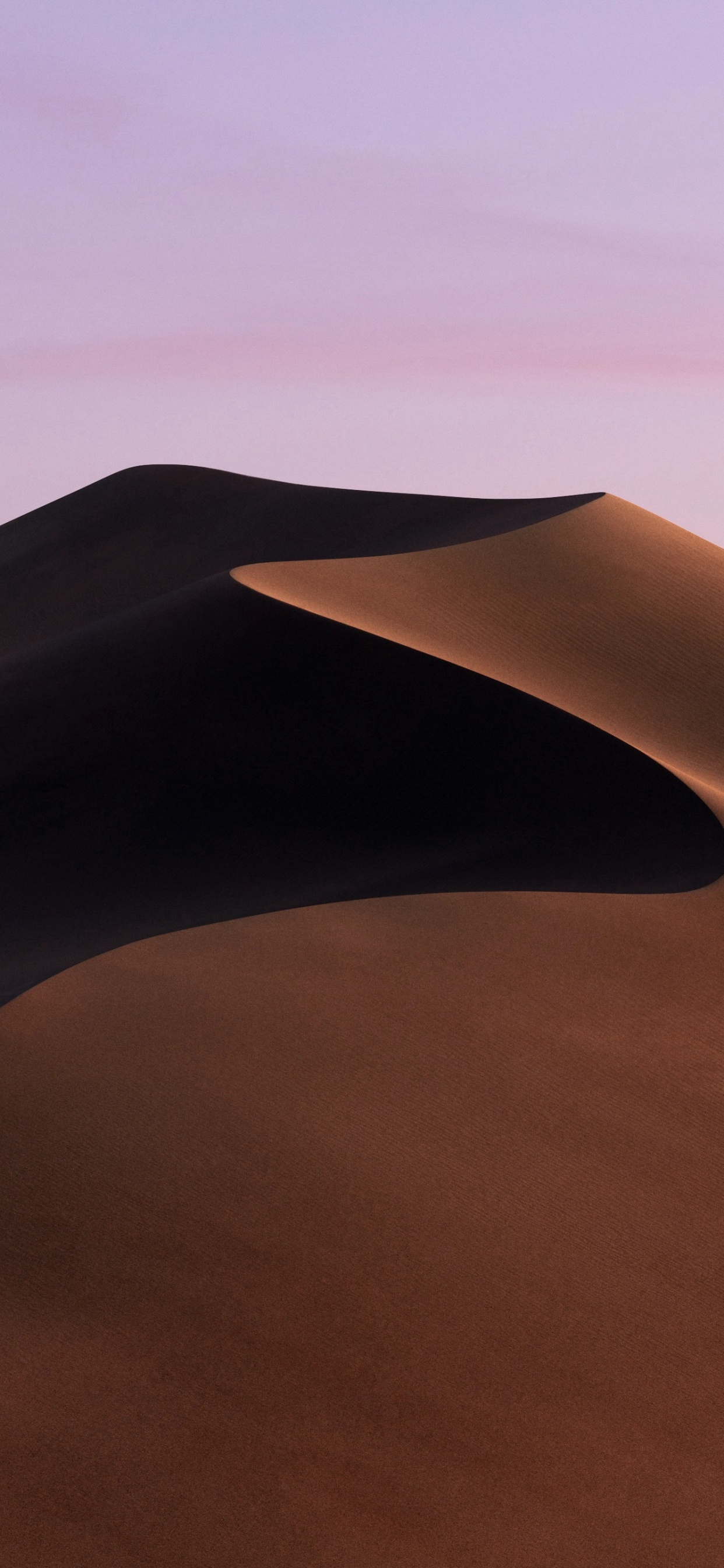 Обои macbook, macbook pro, apple, iMac Pro, macOS Mojave в разрешении 1242x2688