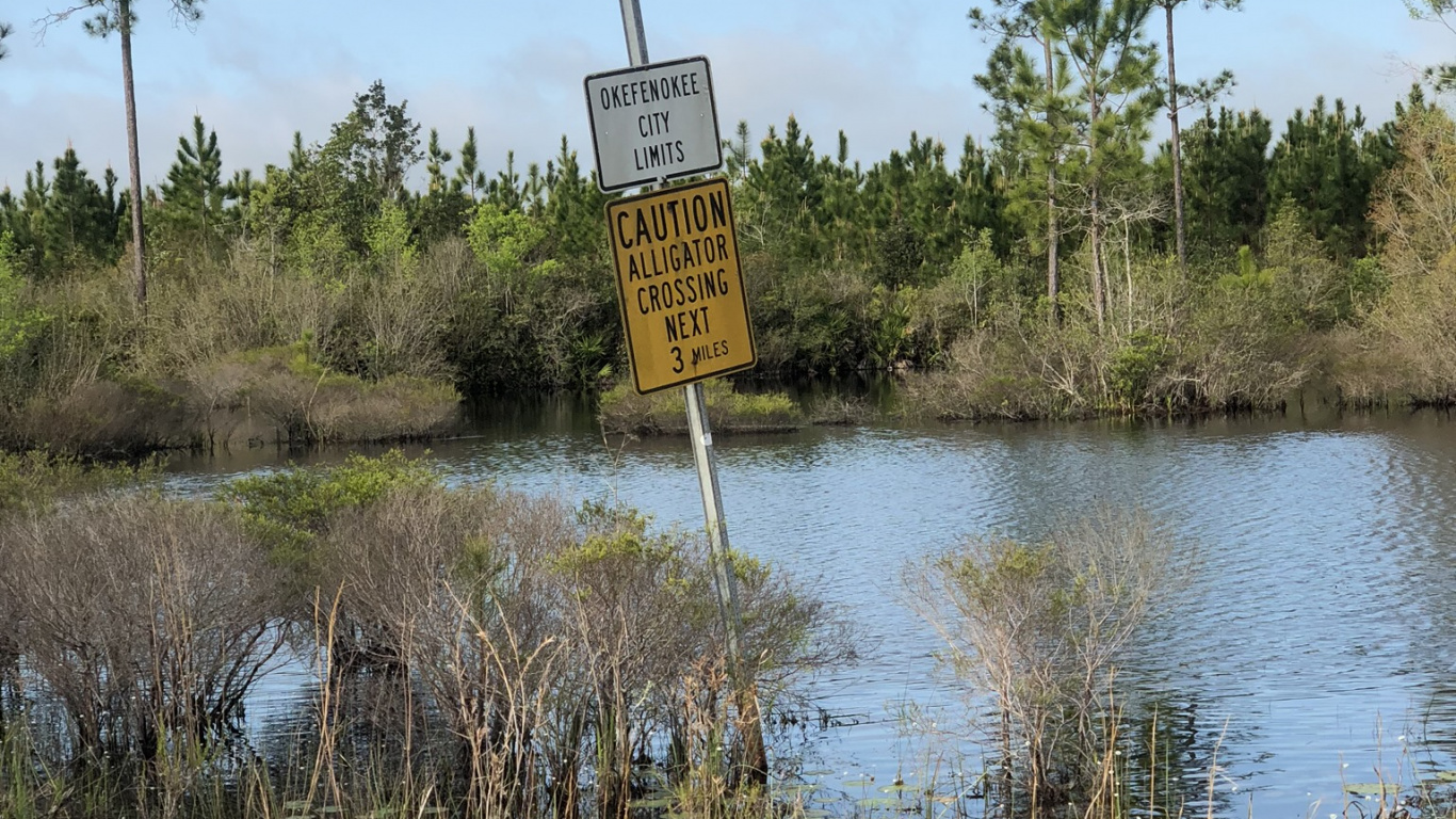 Обои природный заповедник, растительность, окружающая среда, природный ландшафт, растительное сообщество в разрешении 1366x768