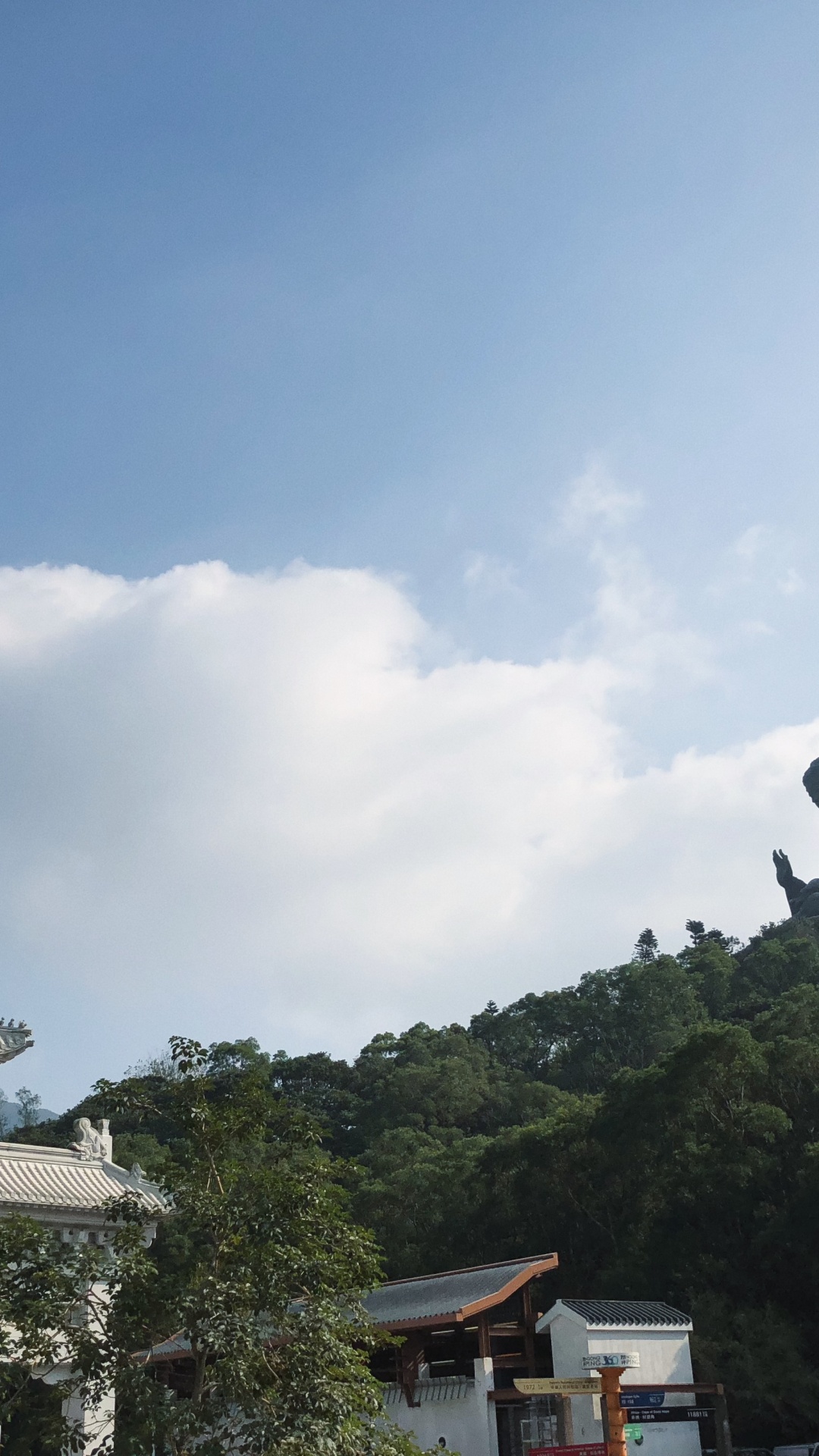 Обои Тиан Тан Будда, дорога, горный рельеф, природа, растительность в разрешении 1080x1920