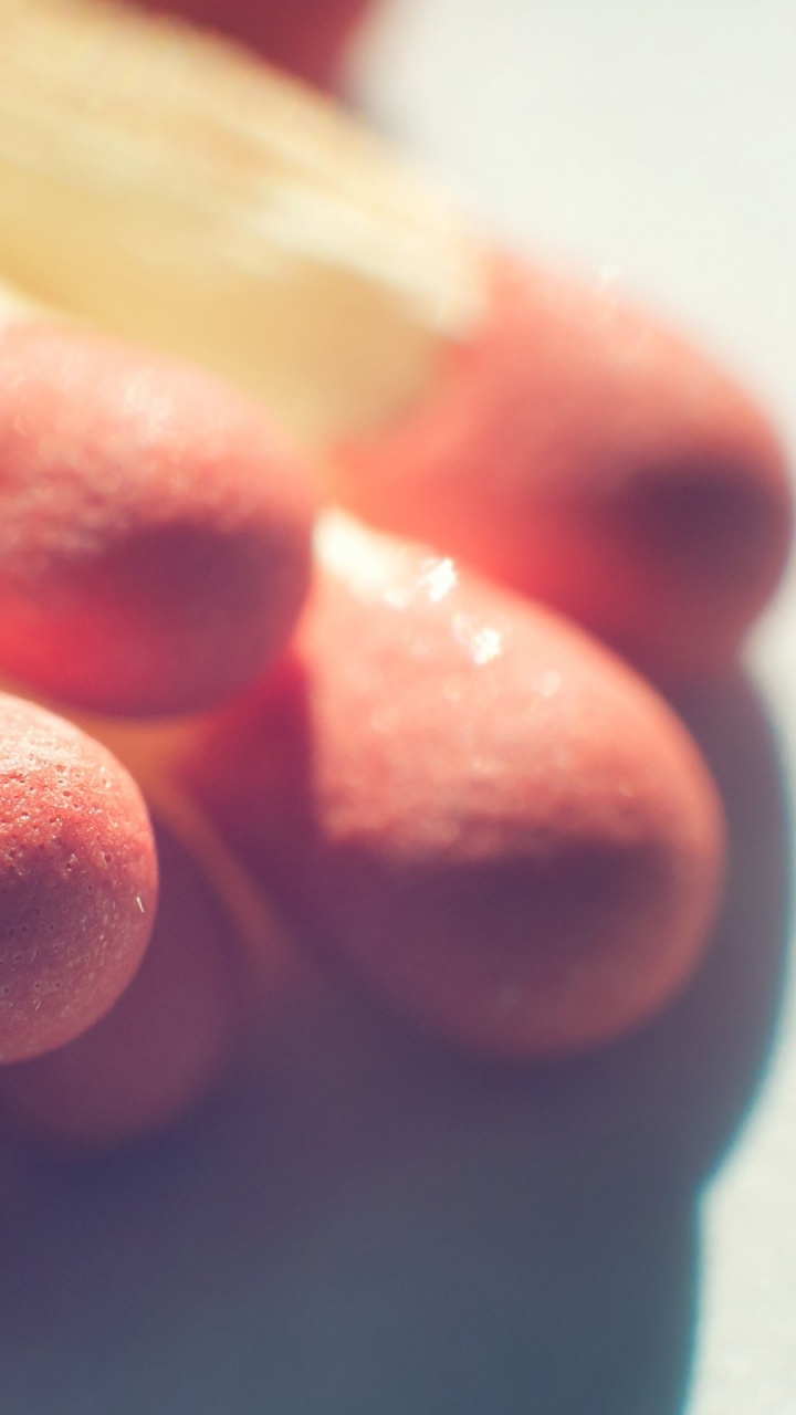 Обои спичка, макро, макро фотография, макросъемка в разрешении 720x1280