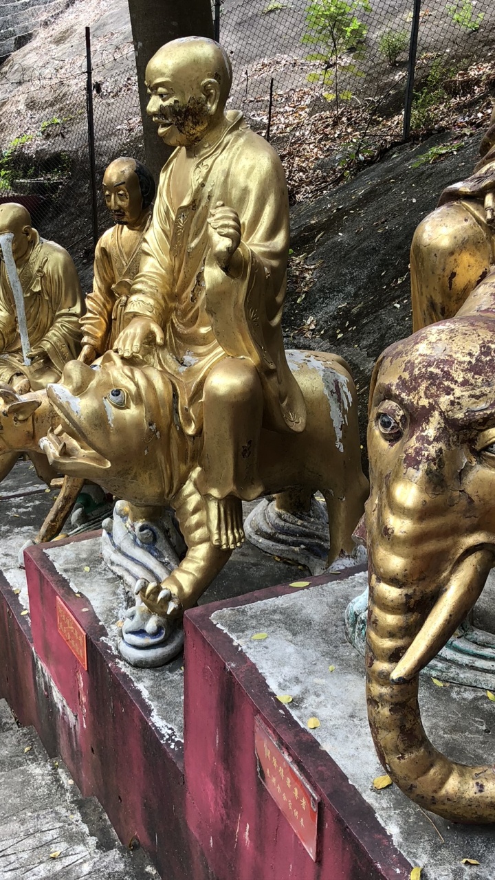 Обои статуя, резьба по камню, голова, водоем, человек в разрешении 720x1280