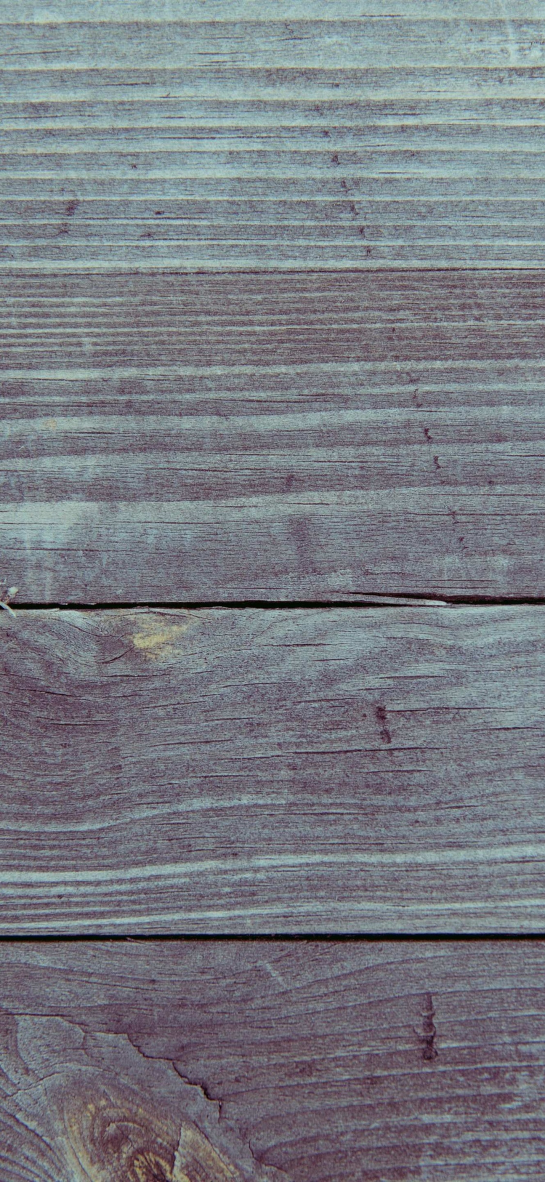 Обои лист, древесина, растение, Microsoft Surface, завод в разрешении 1125x2436