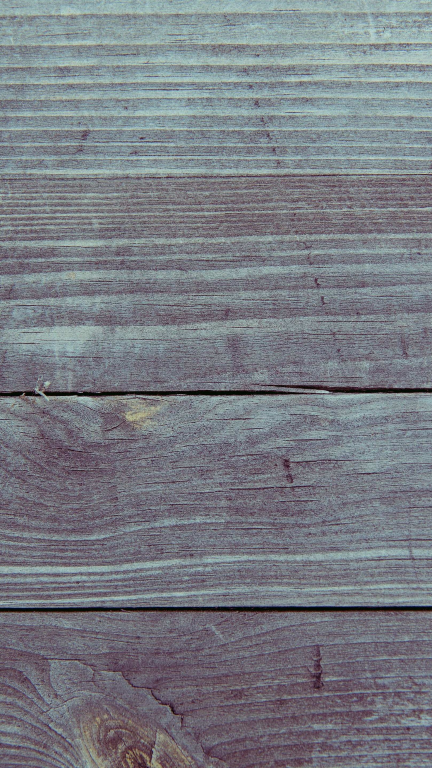 Обои лист, древесина, растение, Microsoft Surface, завод в разрешении 1440x2560