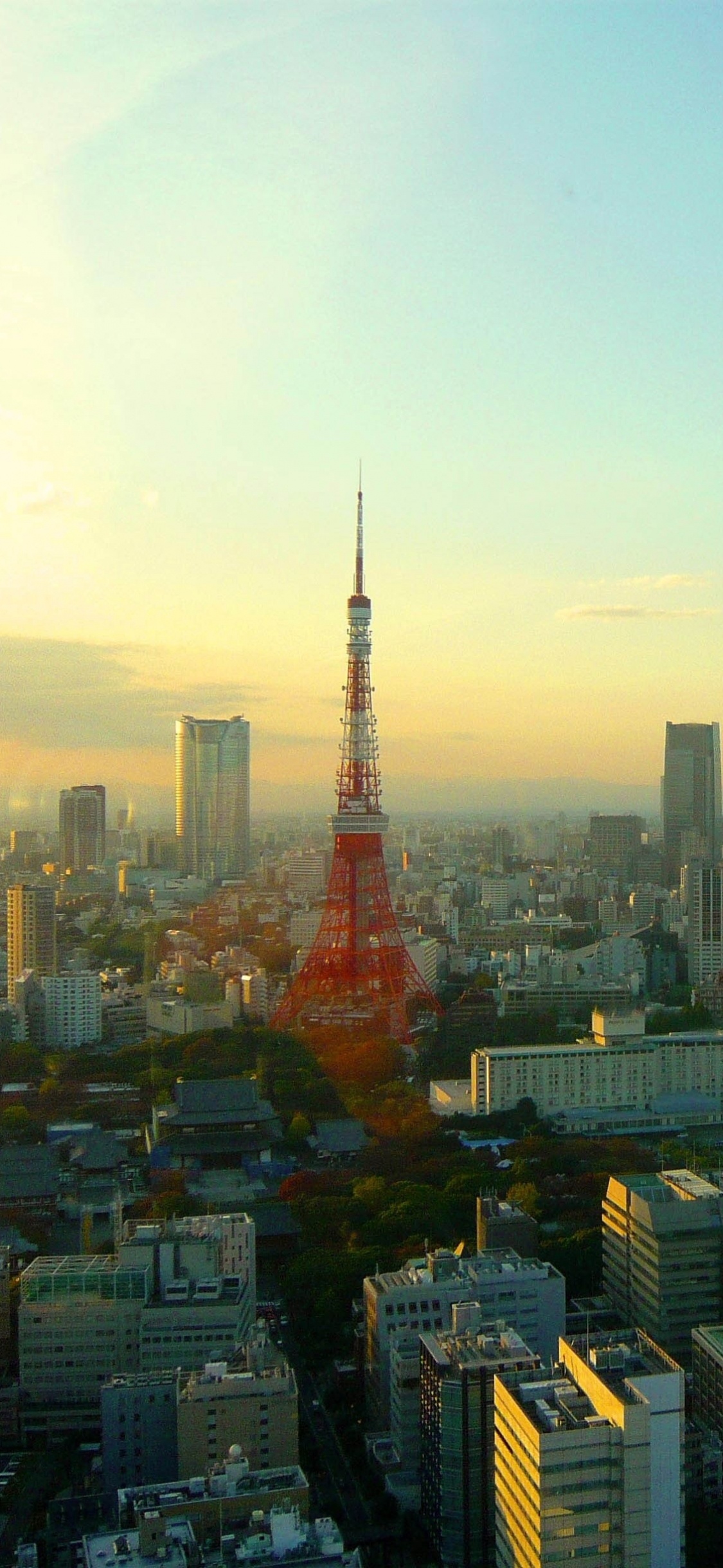 Обои токийская башня, город, городской пейзаж, городской район, метрополия в разрешении 1125x2436