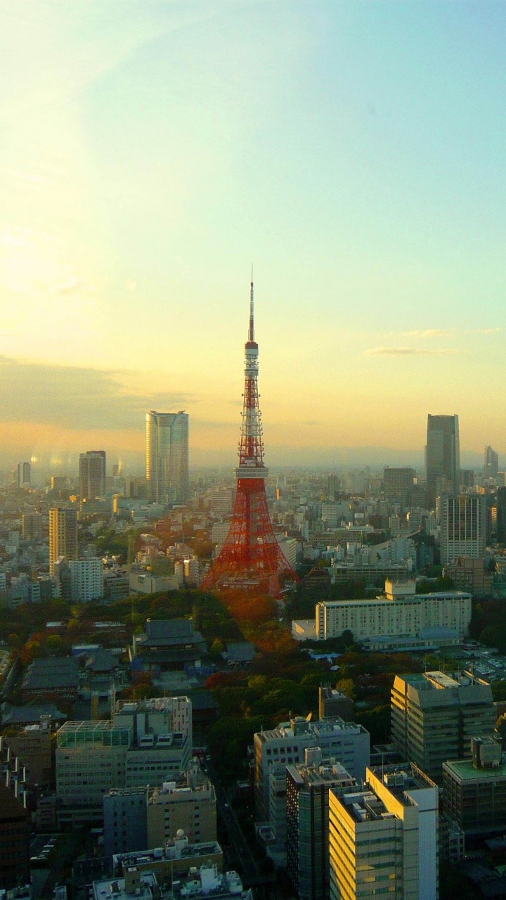 Обои токийская башня, город, городской пейзаж, городской район, метрополия в разрешении 720x1280
