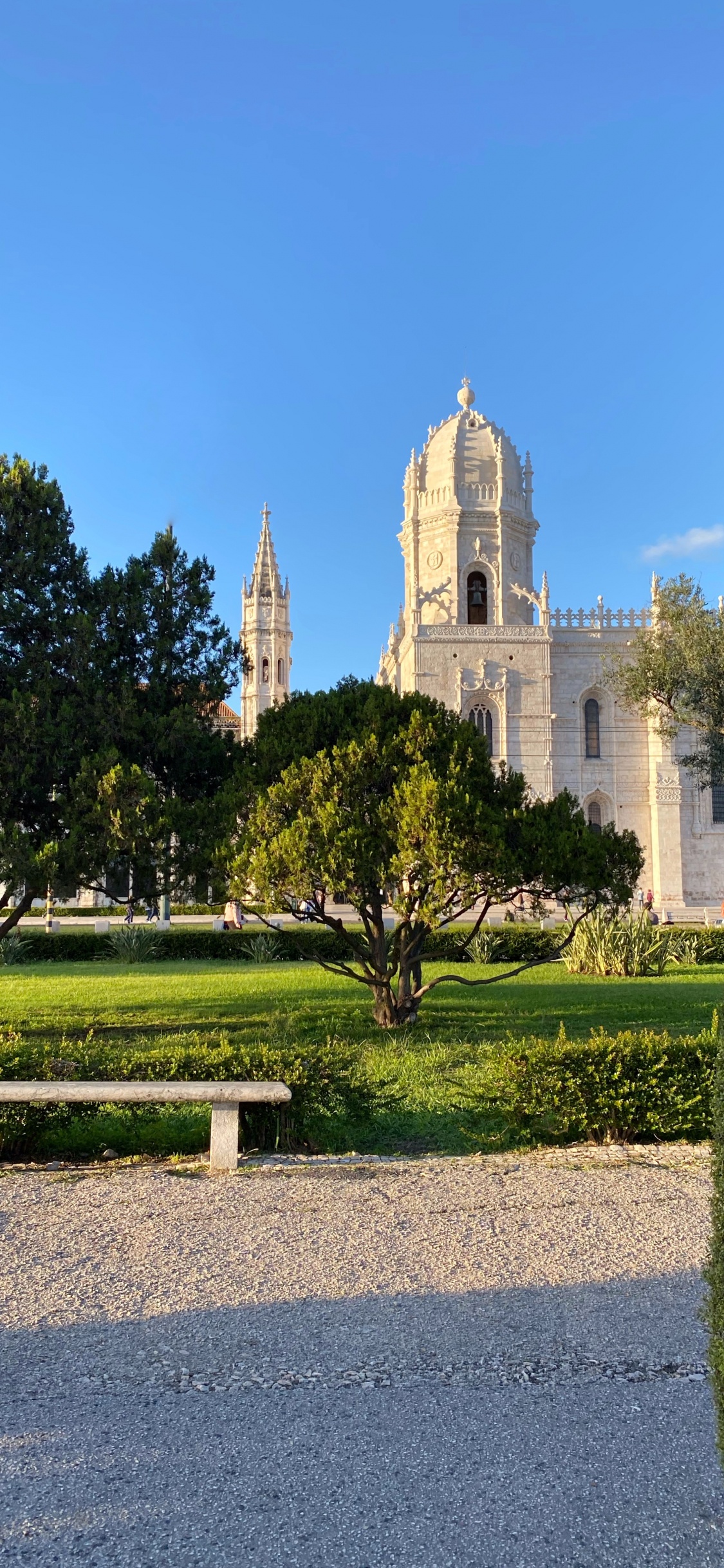 Обои дерево, сад, вечнозеленое растение, скамейка на открытом воздухе, парк в разрешении 1125x2436