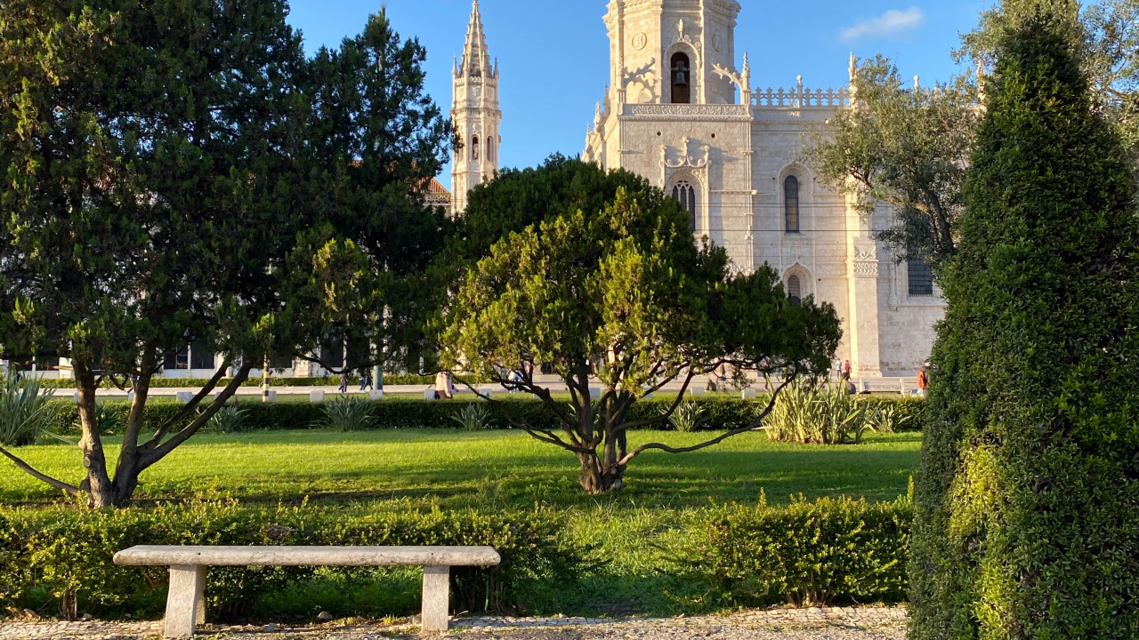 Обои дерево, сад, вечнозеленое растение, скамейка на открытом воздухе, парк в разрешении 1280x720