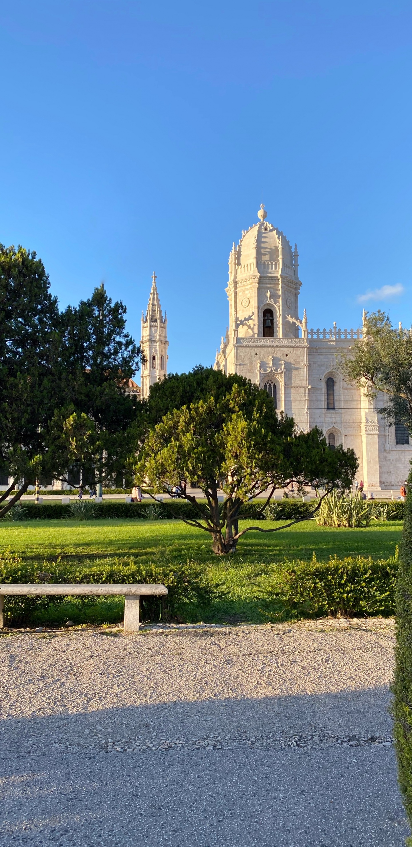 Обои дерево, сад, вечнозеленое растение, скамейка на открытом воздухе, парк в разрешении 1440x2960
