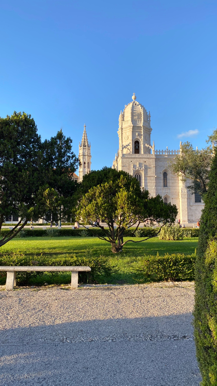 Обои дерево, сад, вечнозеленое растение, скамейка на открытом воздухе, парк в разрешении 750x1334