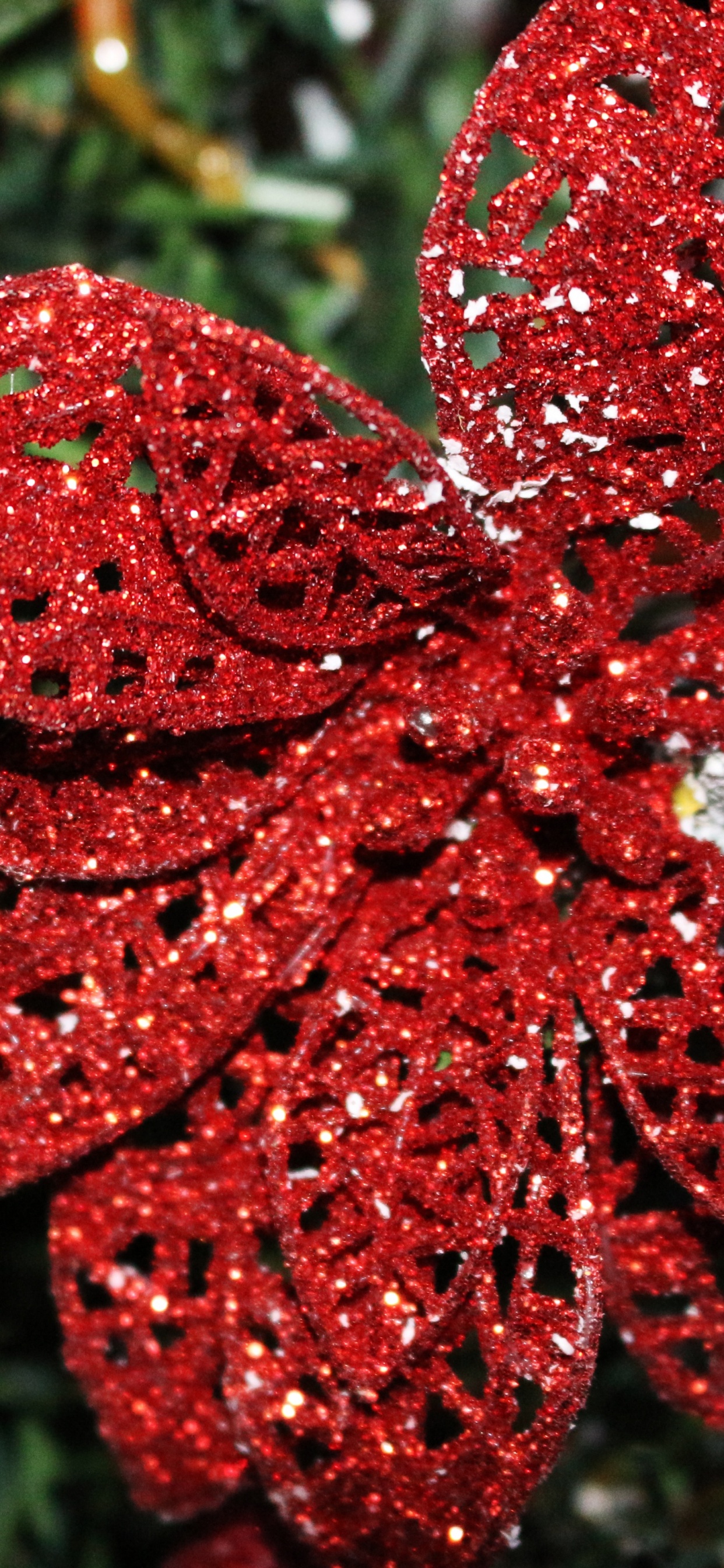 Обои пуансеттия, Рождественский день, красный цвет, рождественский орнамент, цветок в разрешении 1242x2688