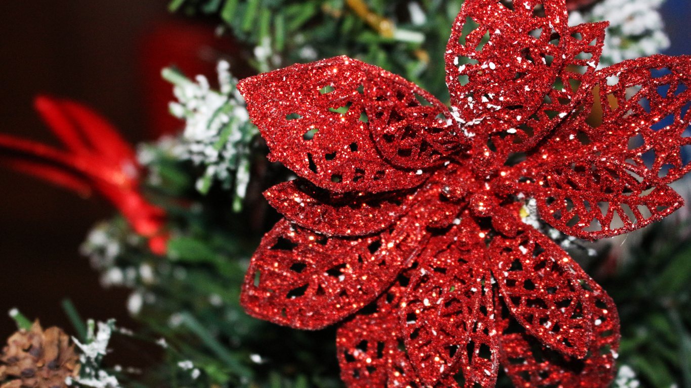 Обои пуансеттия, Рождественский день, красный цвет, рождественский орнамент, цветок в разрешении 1366x768