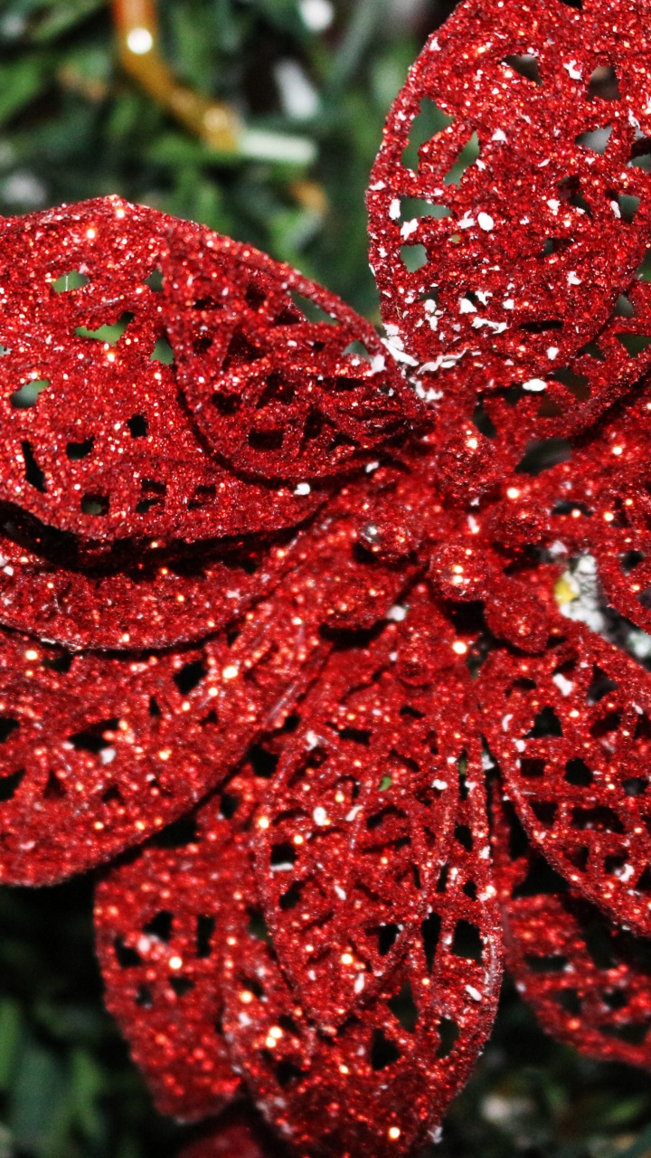 Обои пуансеттия, Рождественский день, красный цвет, рождественский орнамент, цветок в разрешении 720x1280