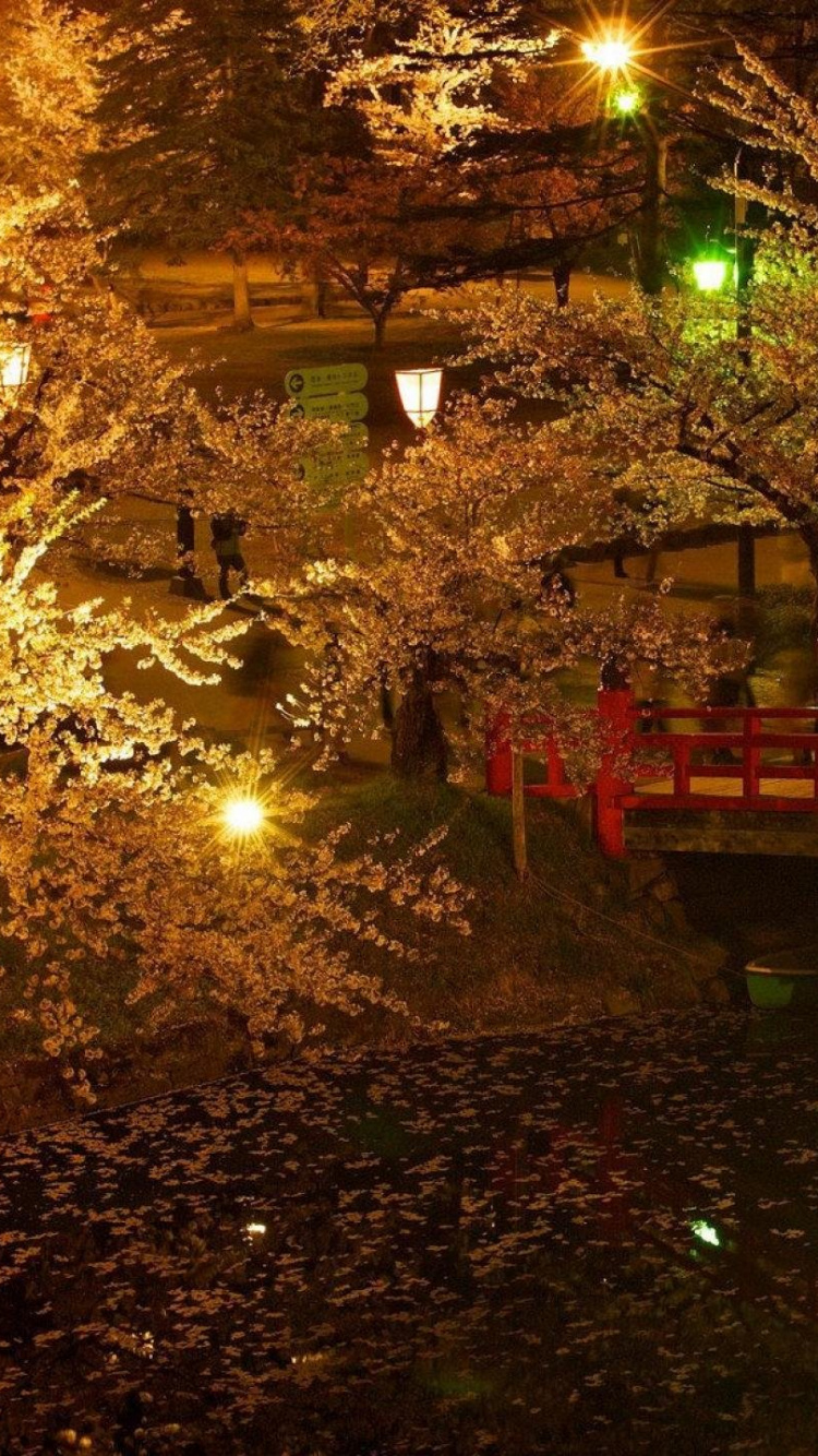 Обои природа, дерево, ночь, освещение, лист в разрешении 750x1334