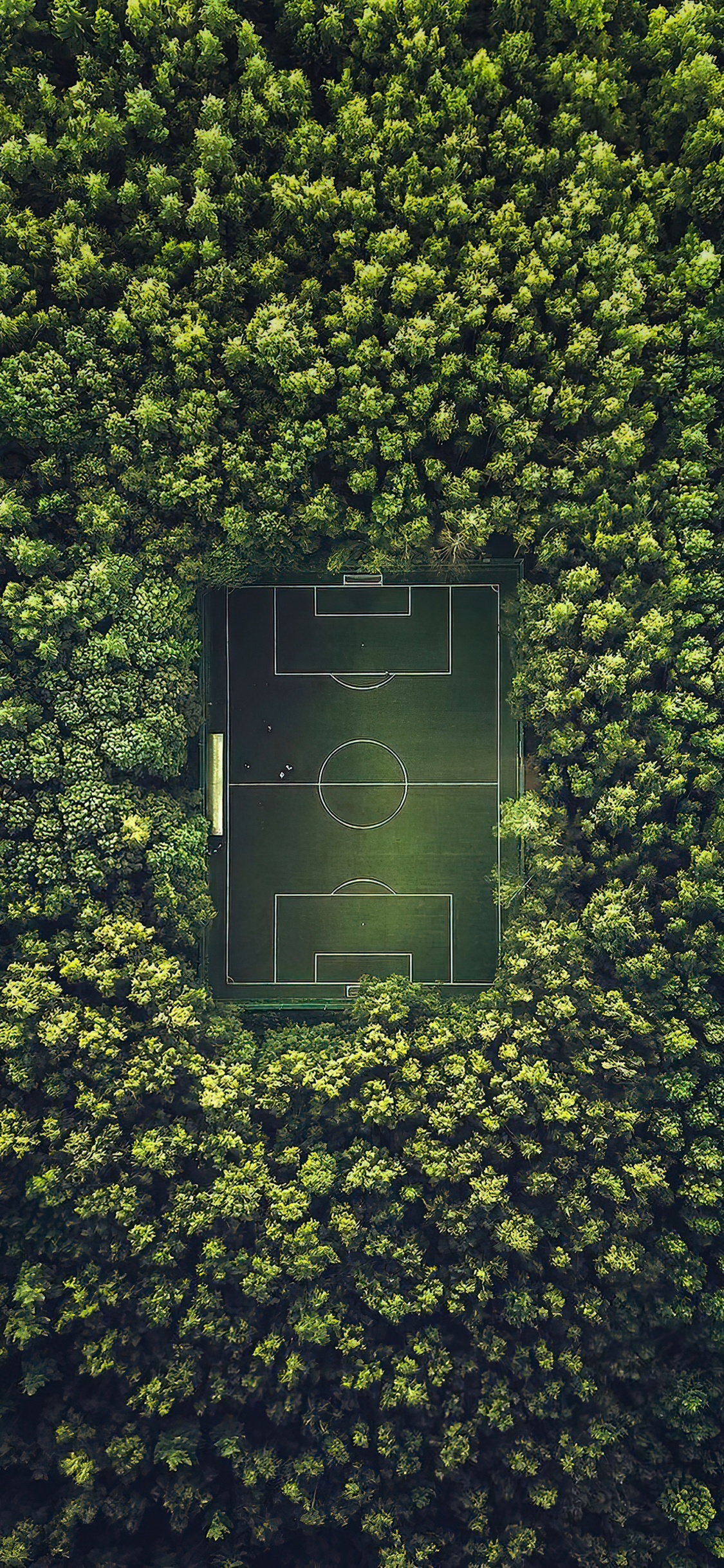 Обои футбольное поле москва, стадион Лужники, футбольное поле, стадион, Чемпионат мира по футболу 2022 в разрешении 1125x2436