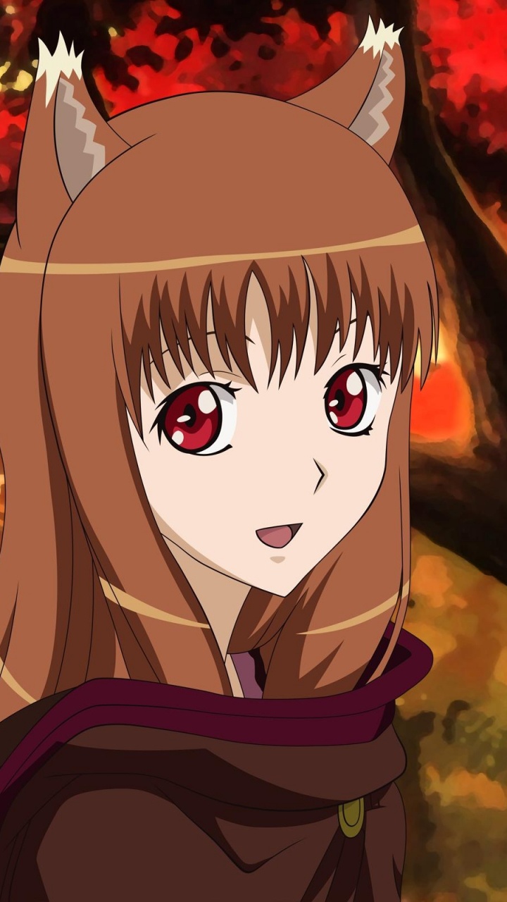 Обои специй и волк, серый волк, искусства в разрешении 720x1280