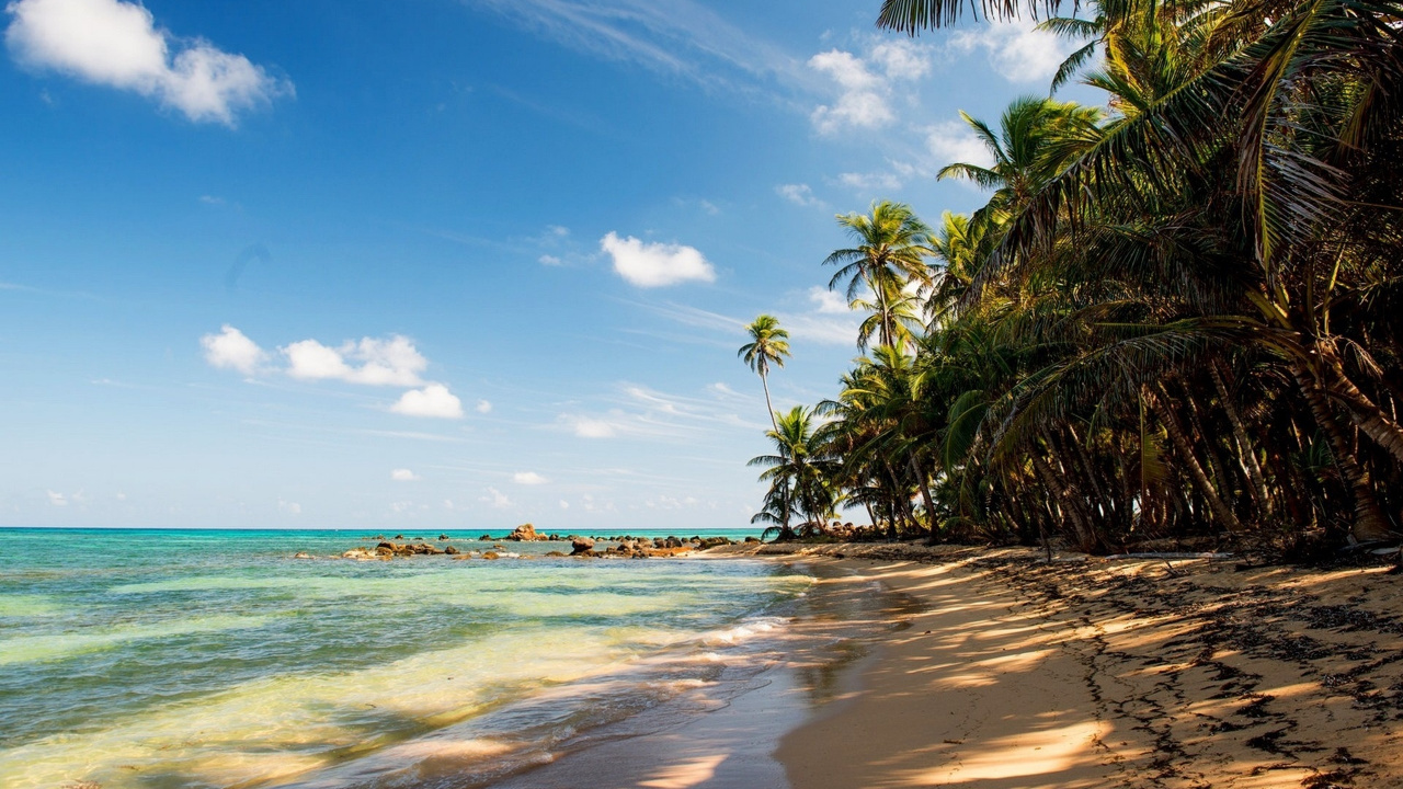Обои пляж, море, песок, водоем, тропическая зона в разрешении 1280x720