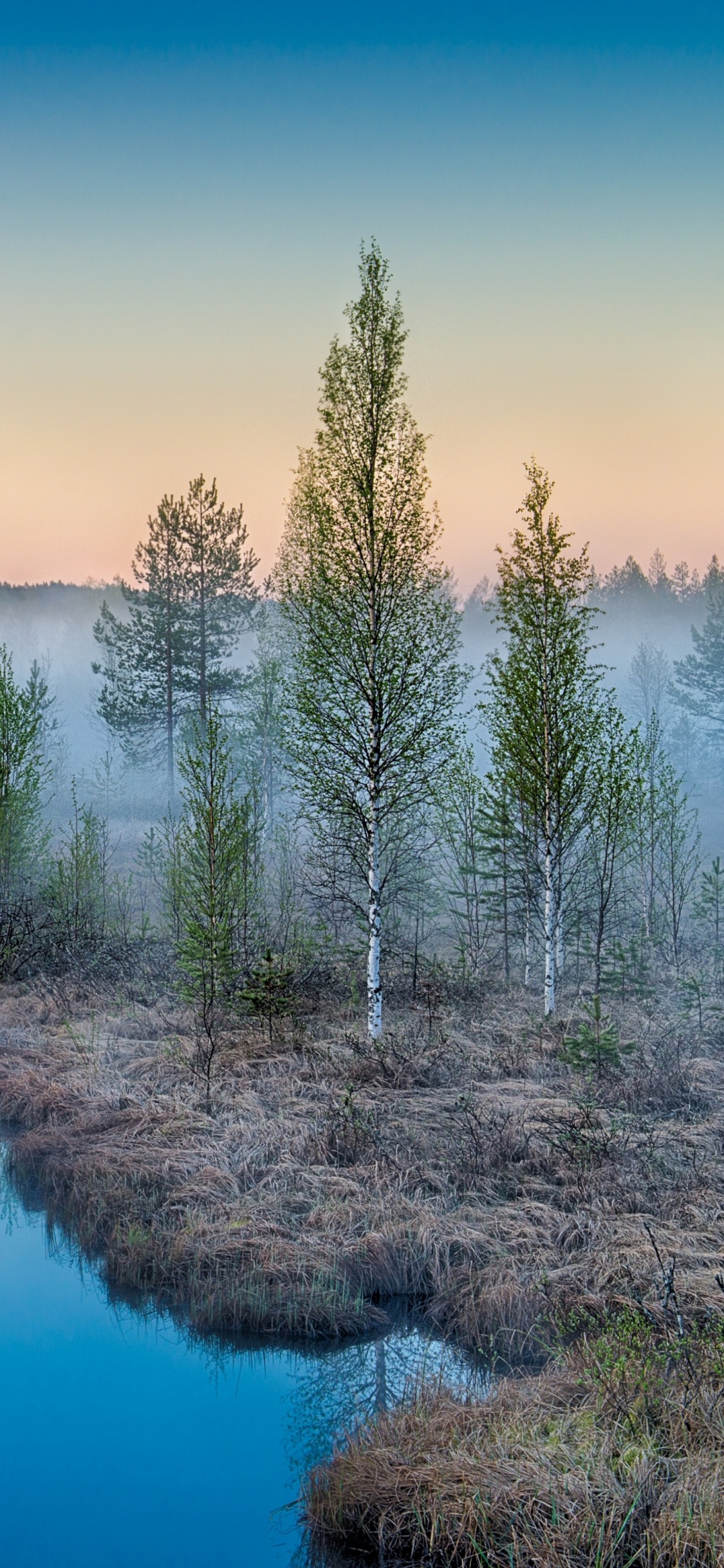 Обои природа, отражение, вода, гидроресурсы, реки в разрешении 1125x2436