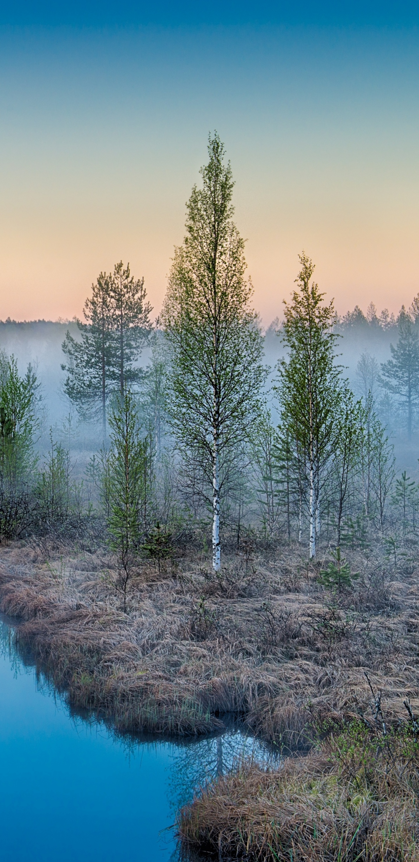 Обои природа, отражение, вода, гидроресурсы, реки в разрешении 1440x2960