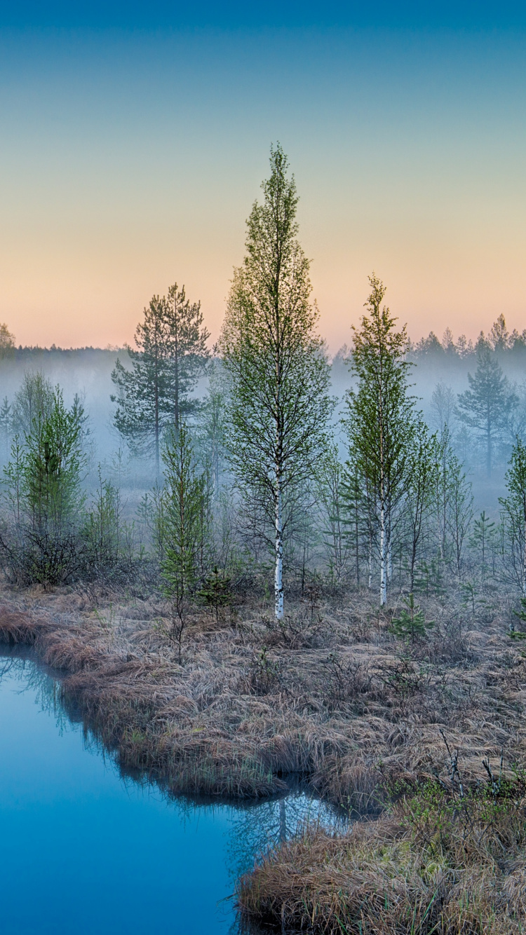 Обои природа, отражение, вода, гидроресурсы, реки в разрешении 750x1334