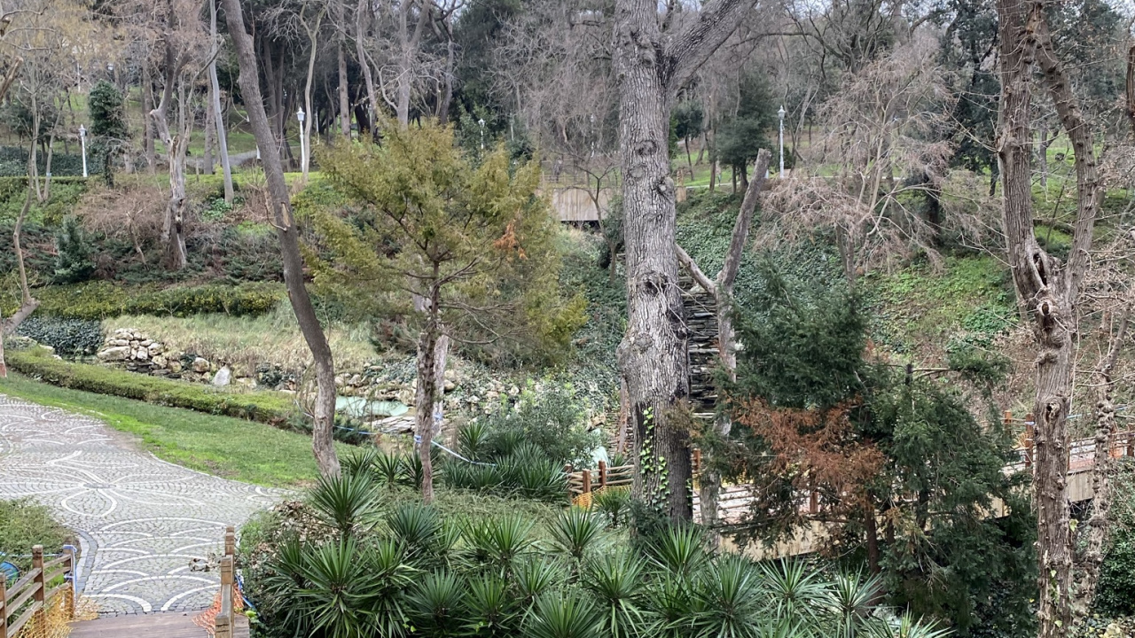 Обои растительность, пейзаж, Ботанический сад, растение, вода в разрешении 1280x720