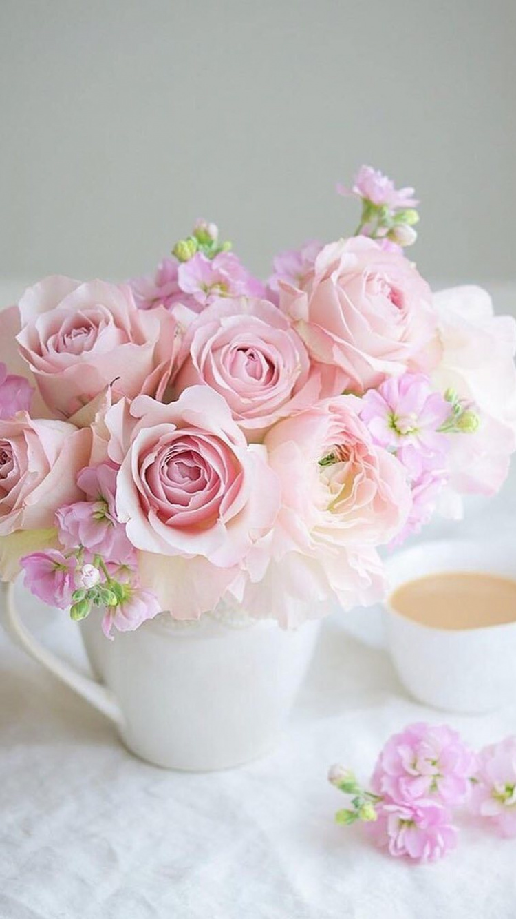 Обои утро, розовый, цветок, белые, сад роз в разрешении 750x1334