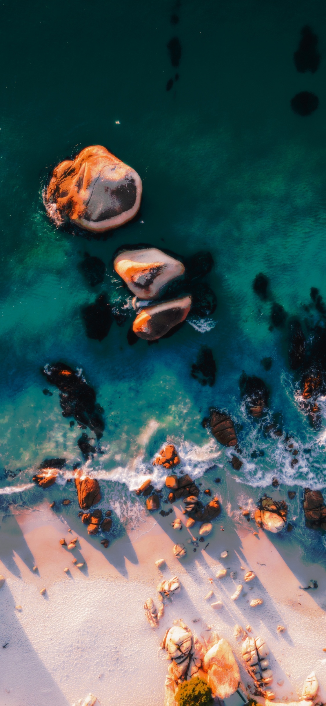 Обои вода, морская биология, наука, жидкий, жидкость в разрешении 1125x2436