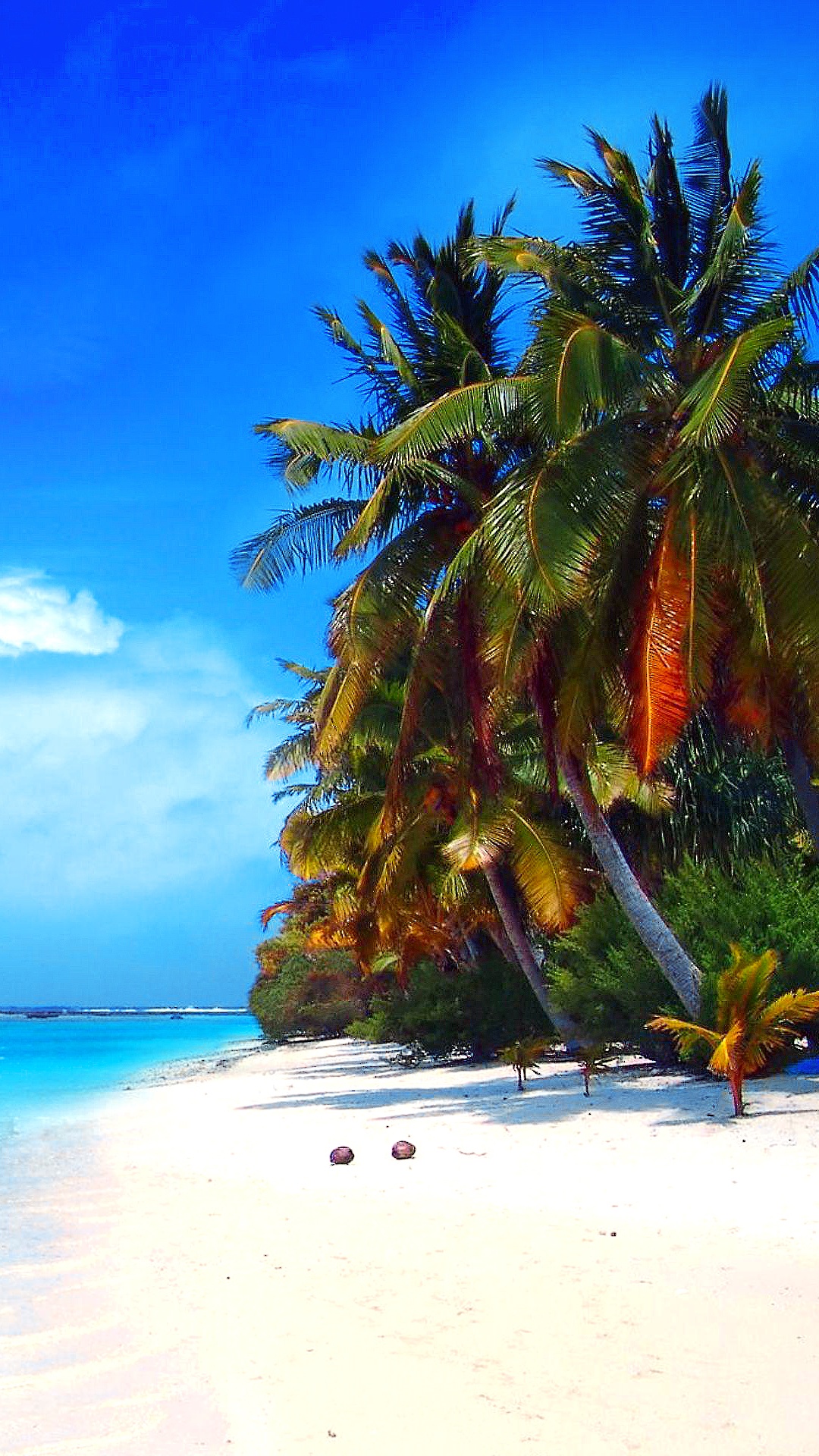 Обои пляж, море, тропическая зона, природа, Карибский бассейн в разрешении 1080x1920