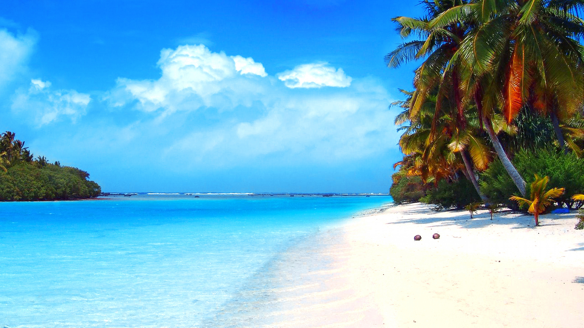 Обои пляж, море, тропическая зона, природа, Карибский бассейн в разрешении 1920x1080