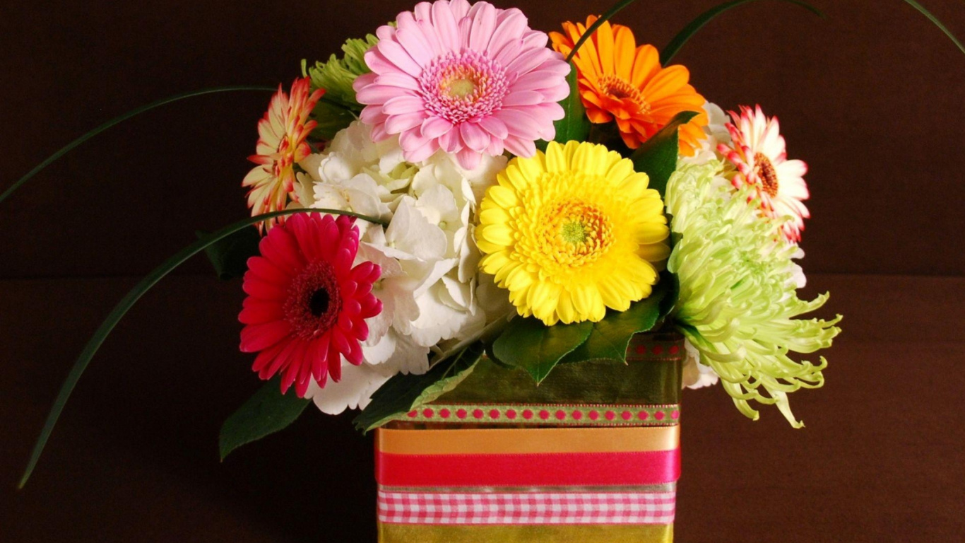 Обои трансвааль Дейзи, цветочный дизайн, Хризантема, цветочный букет, срезанные цветы в разрешении 1366x768