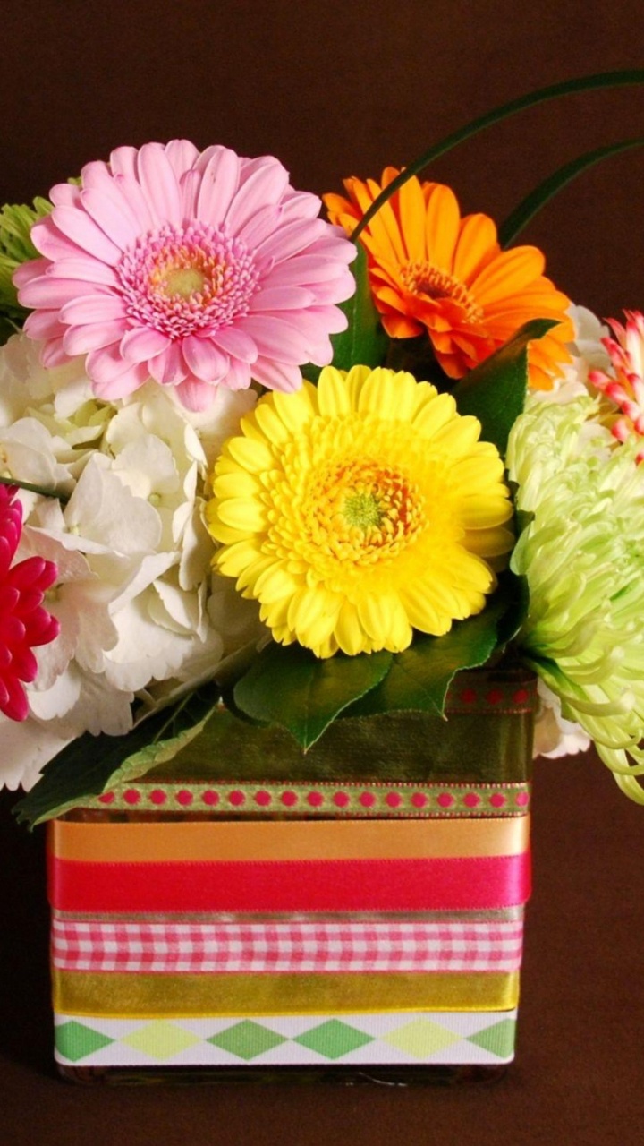 Обои трансвааль Дейзи, цветочный дизайн, Хризантема, цветочный букет, срезанные цветы в разрешении 720x1280